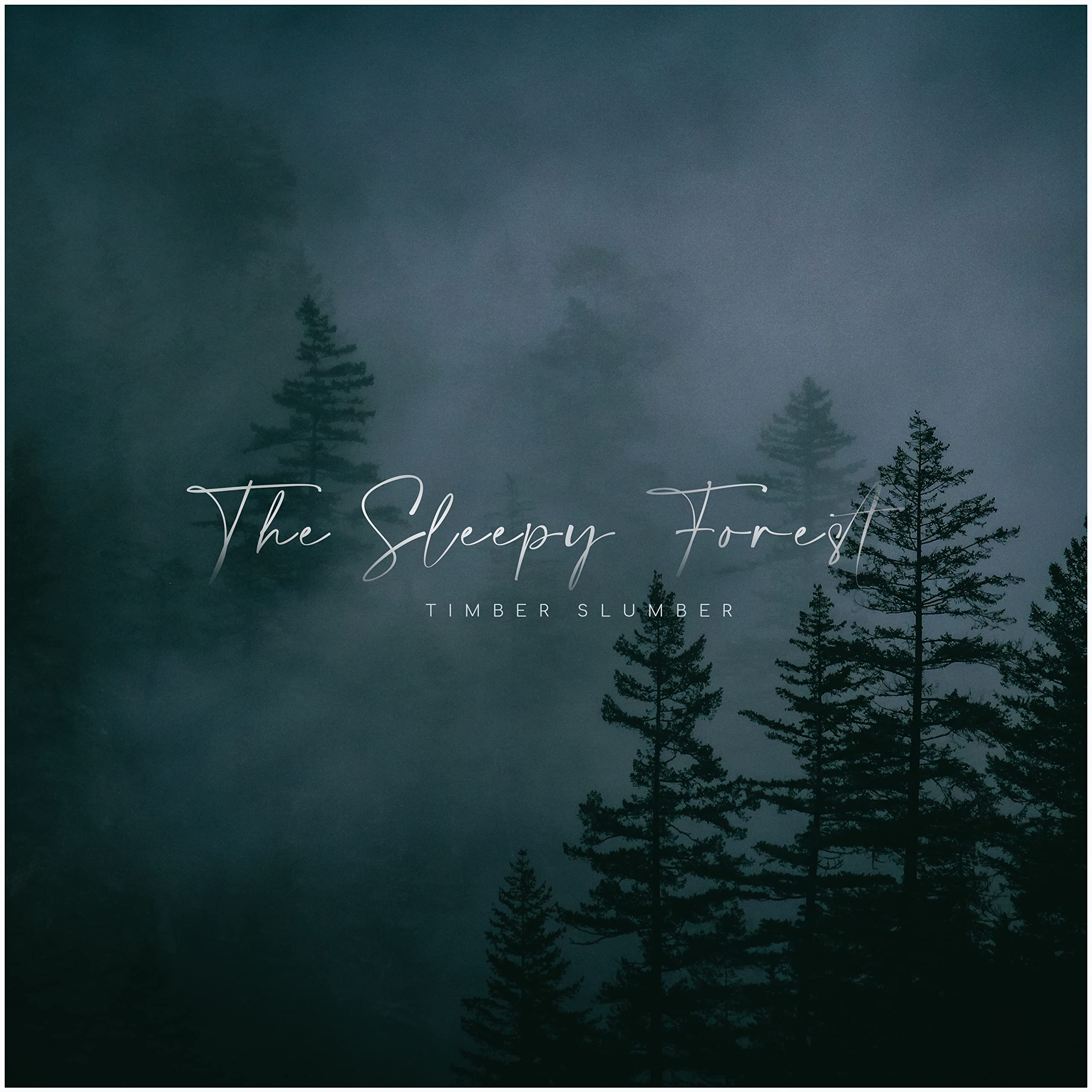 The Sleepy Forest