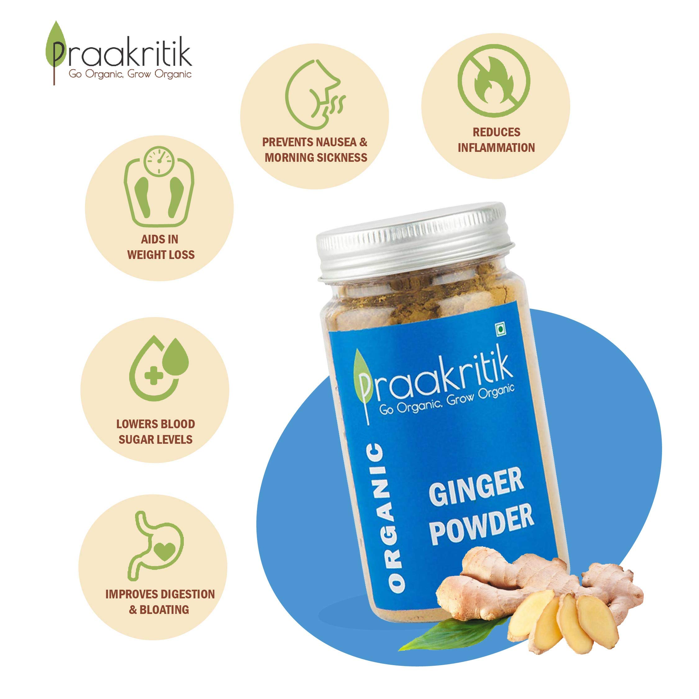 Praakritik Organic Ginger Powder, 100% Organic Powder, Daily Use Healthy Ginger Powder, No Artificial Color No Artificial Flavor, Pack of 3, 100 Grams Each Total 300 Gram 2