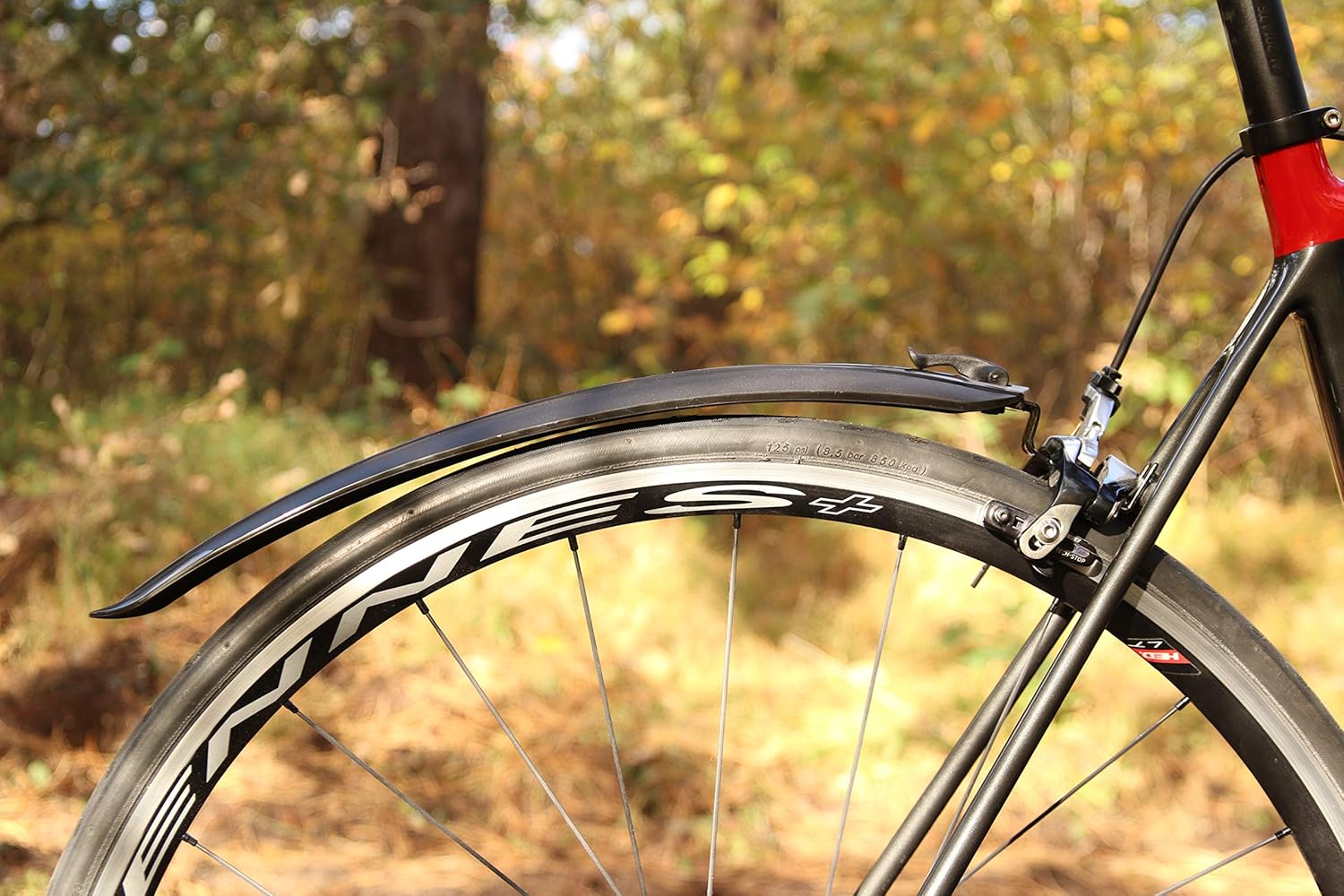 BBB Mudguard Roadp Red Ector 2