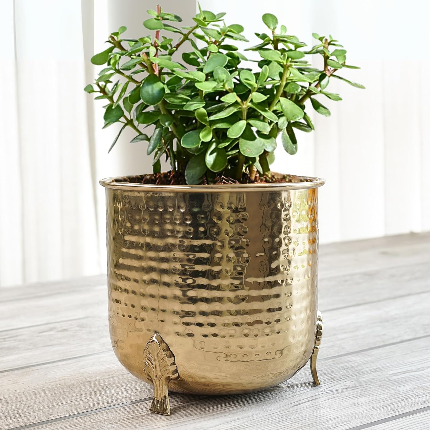 BEHOMA Metal Hammered Planter for Home Decor | Decorative for Indoor Outdoor Balcony Living Room | Table Decorative Plant Pot for Gifting | Size Height- 6″ x Dia. 6″ inch | Golden (Plant Not Included)