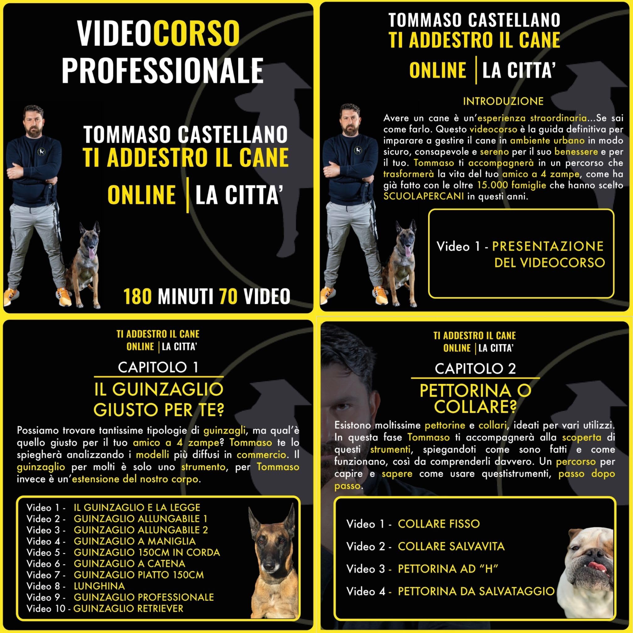 Videocorso : Ti addestro Il Cane Online - Tommaso Castellano