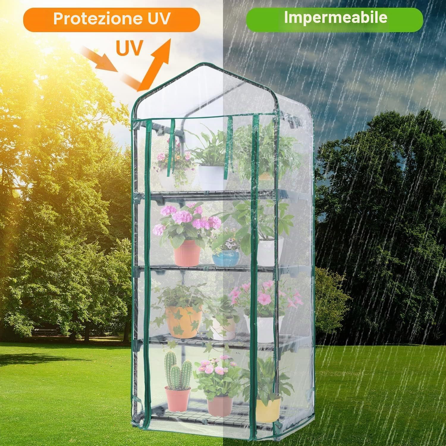 LATERN 4 Ripiani Mini Serra, 160CM x 70CM x 50CM Piccola Serra Struttura e Copertura in PVC Trasparente con Porta Avvolgibile con Cerniera per Piante Protezione da Freddo Gelo Vento Pioggia