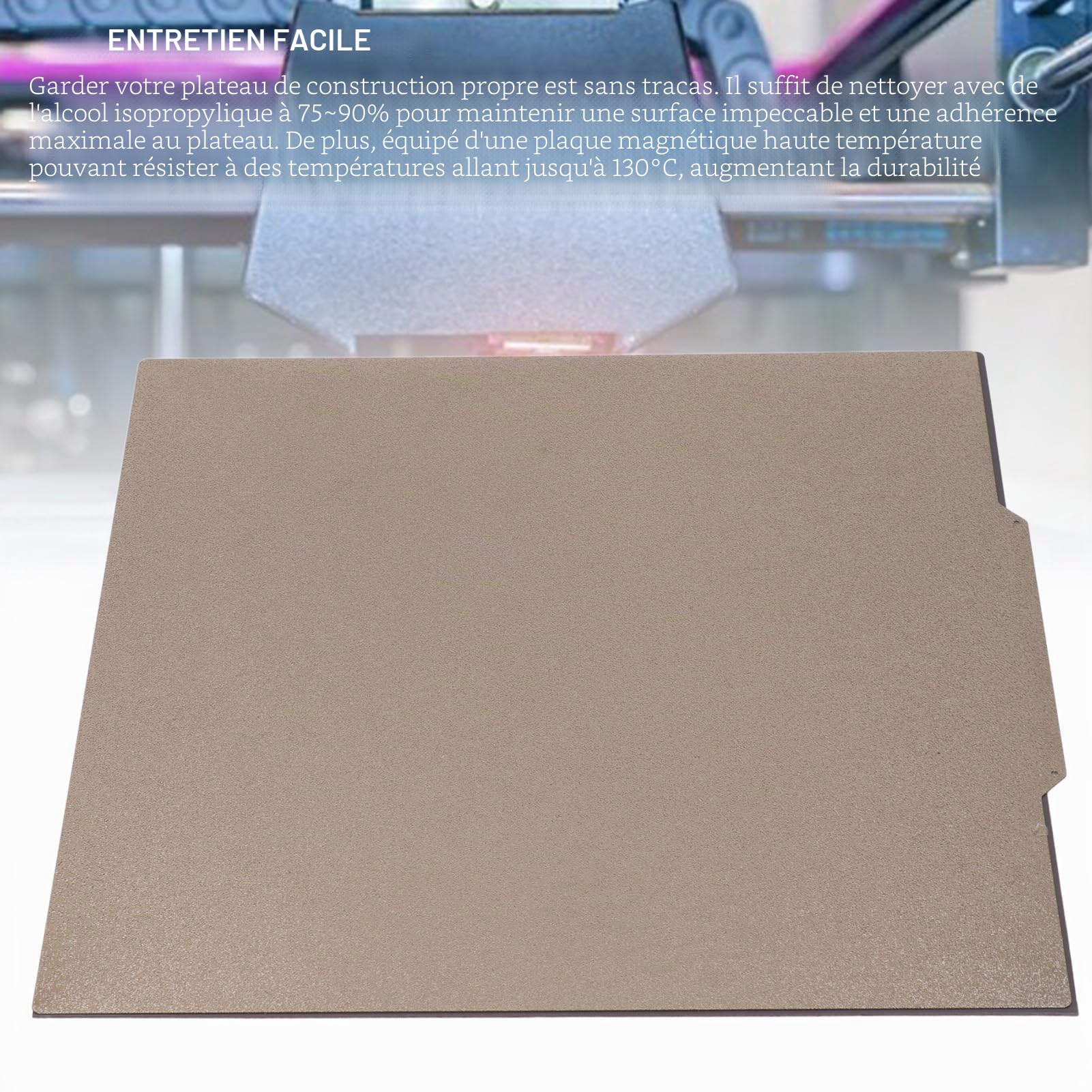 Plaque de Construction PEI en Acier à Ressort avec Texture Mate 332x340mm pour Imprimante 3D Raise3D Pro2 PRO 2 PLUS, Base Magnétique Double Face