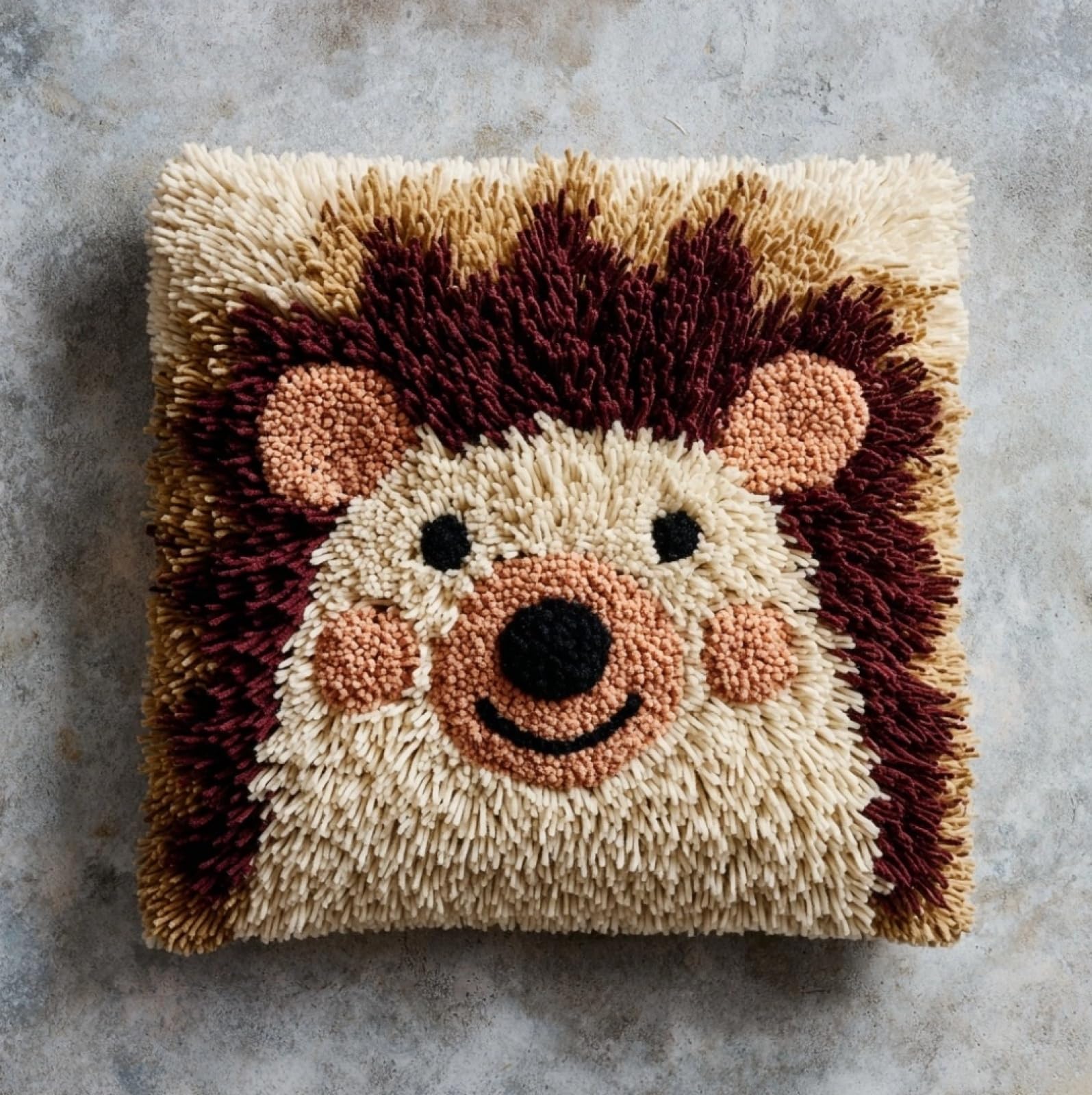WallustrioaW Latch Hook Cushion Kits 43x43cm,The Smiling Hedgehog