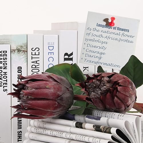 Miniatura 5 de cn-Knight 4 capullos artificiales de prota brote de flores artificiales de proté sintético de 26 pulgadas brote de protea de seda para decoración