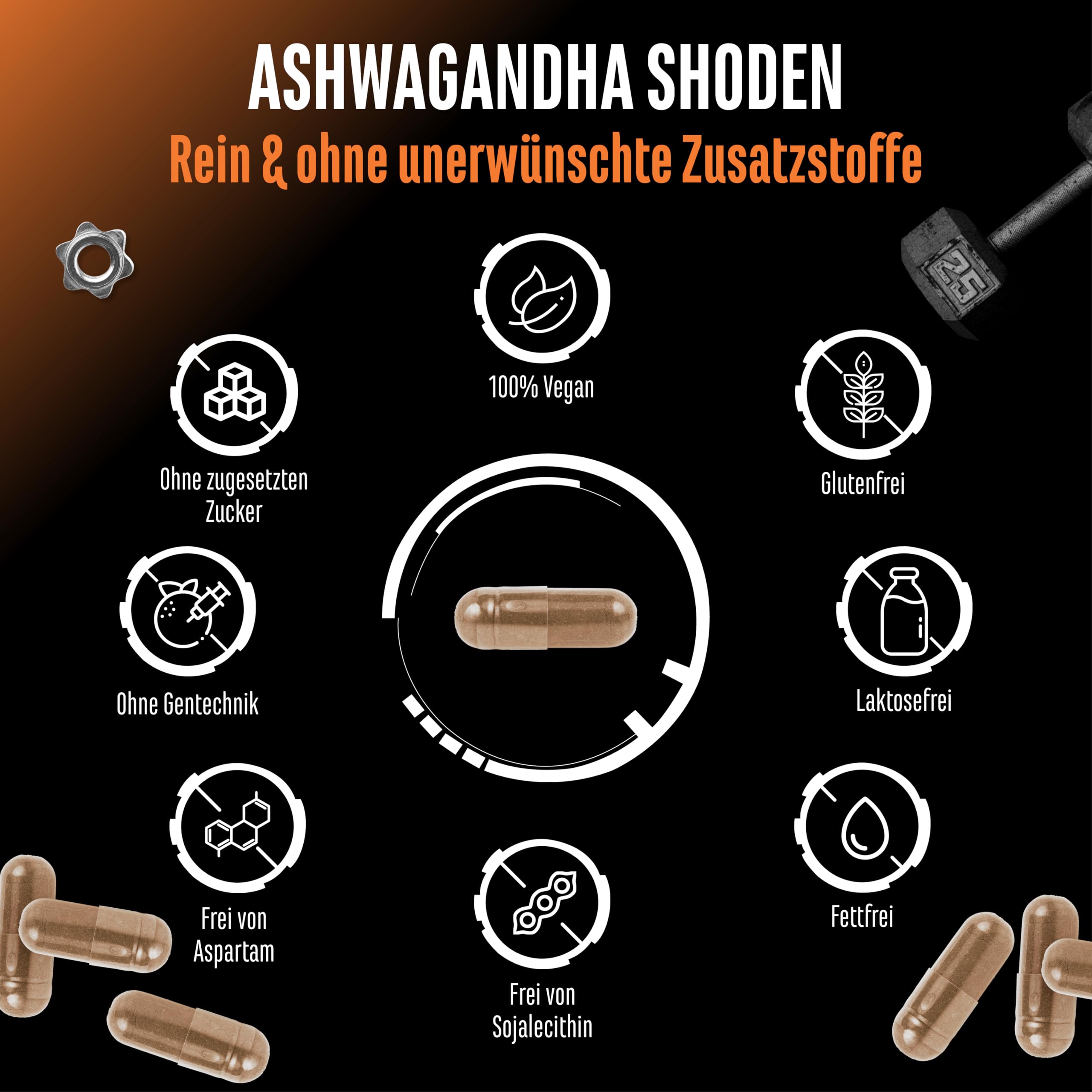 Ashwagandha Shoden® - 35% Withanolide Glykoside - Patentierter Ashwagandha Wurzelextrakt - Hohe Bioverfügbarkeit, hochdosiert, vegan - 60 Kapseln