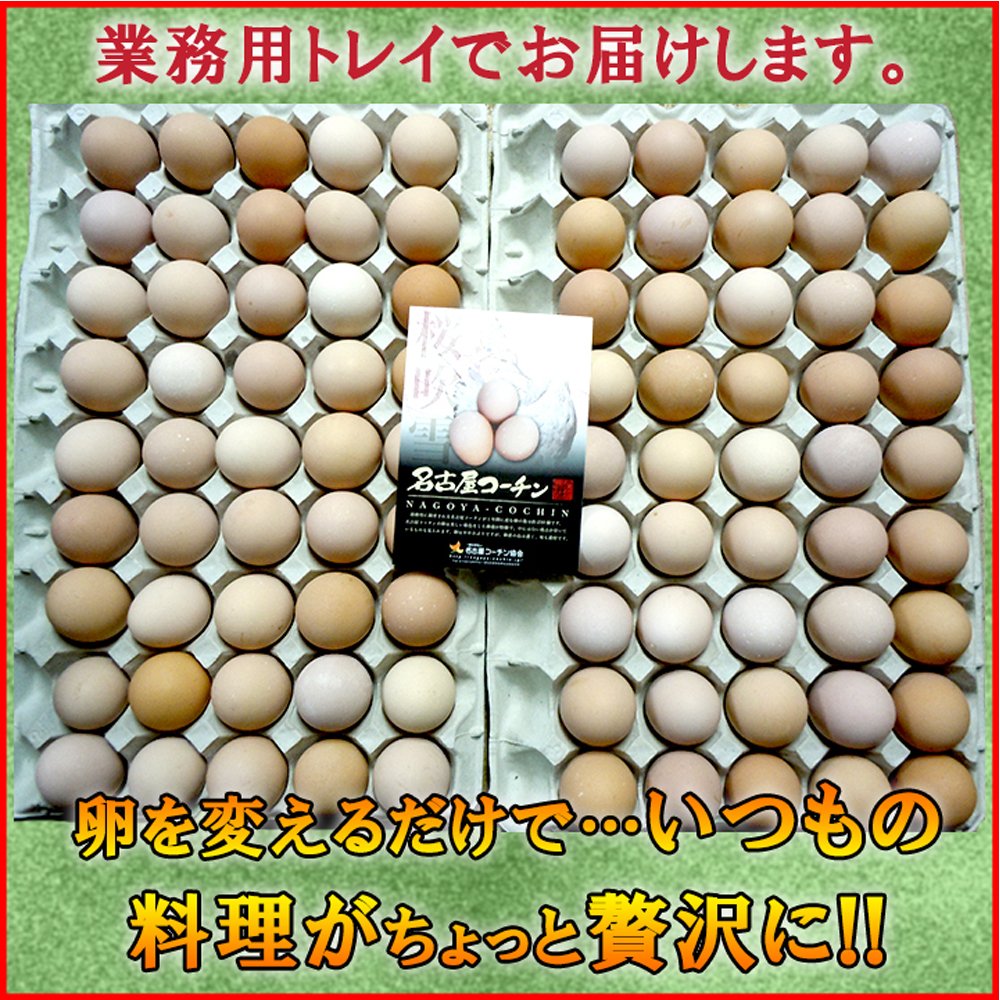 Amazon | 名古屋コーチンの卵【90個入り(80個＋10個破卵保障)】餌に 