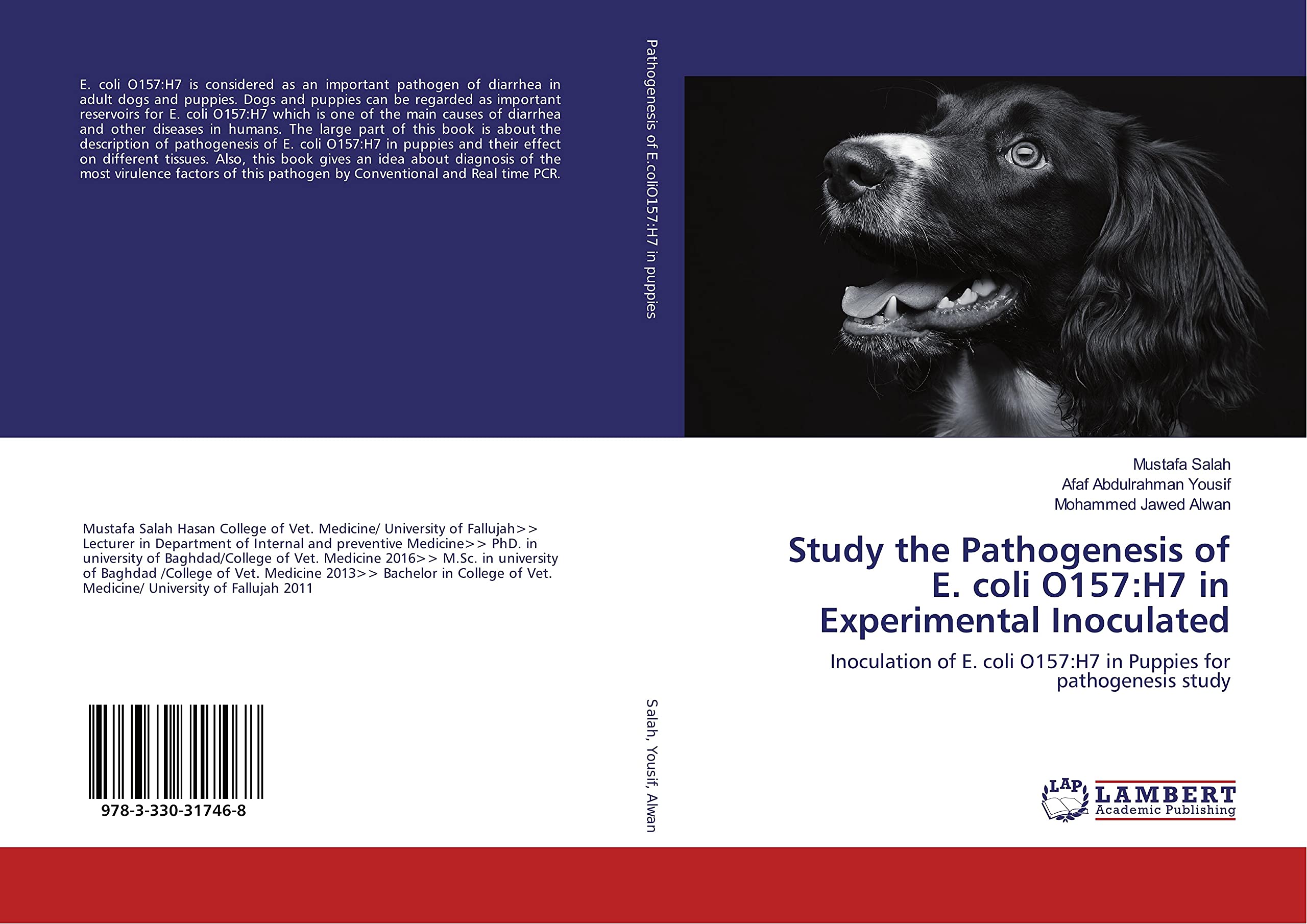 How Can A Dog Get E Coli