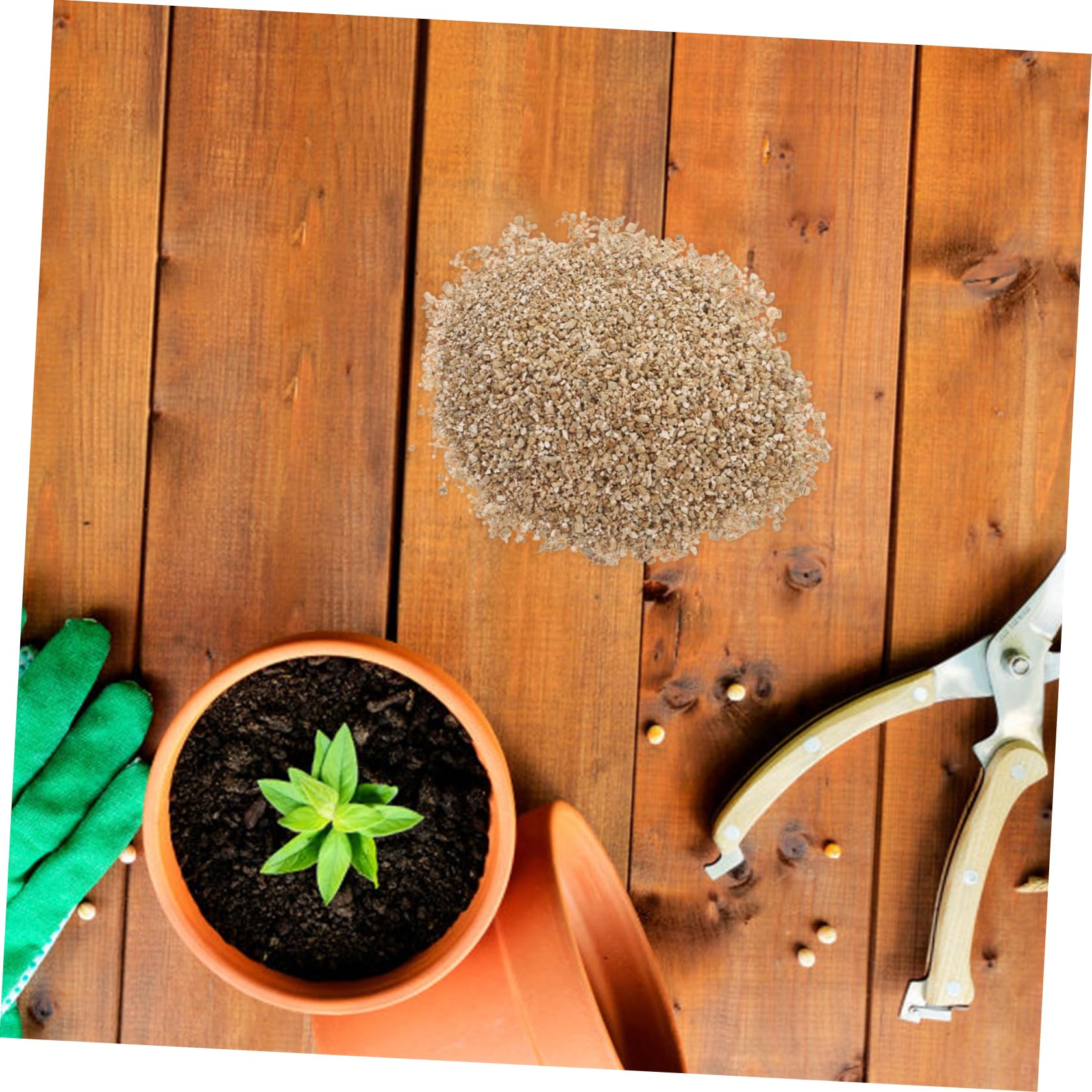 ifundom Vermiculite Fine 3l pour Semis et Croissance des Plantes | Granulés Horticoles, Rétention D’eau Élevée, Usage Intérieur en Pots et Plantation Agricole