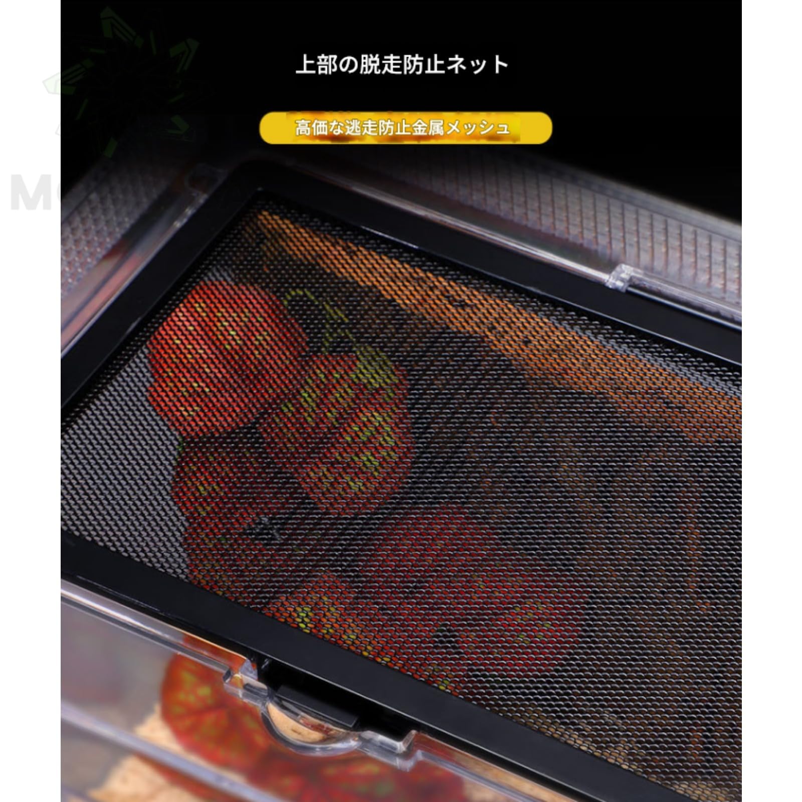 Amazon | 虫かご 大爬虫類ケージ 飼育容器、カエル ケース トカゲ