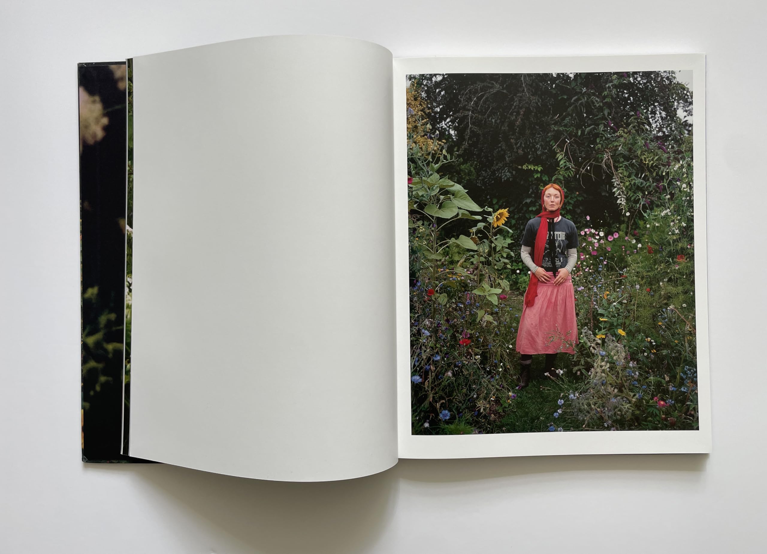 SiAn Davey: The Garden /anglais
