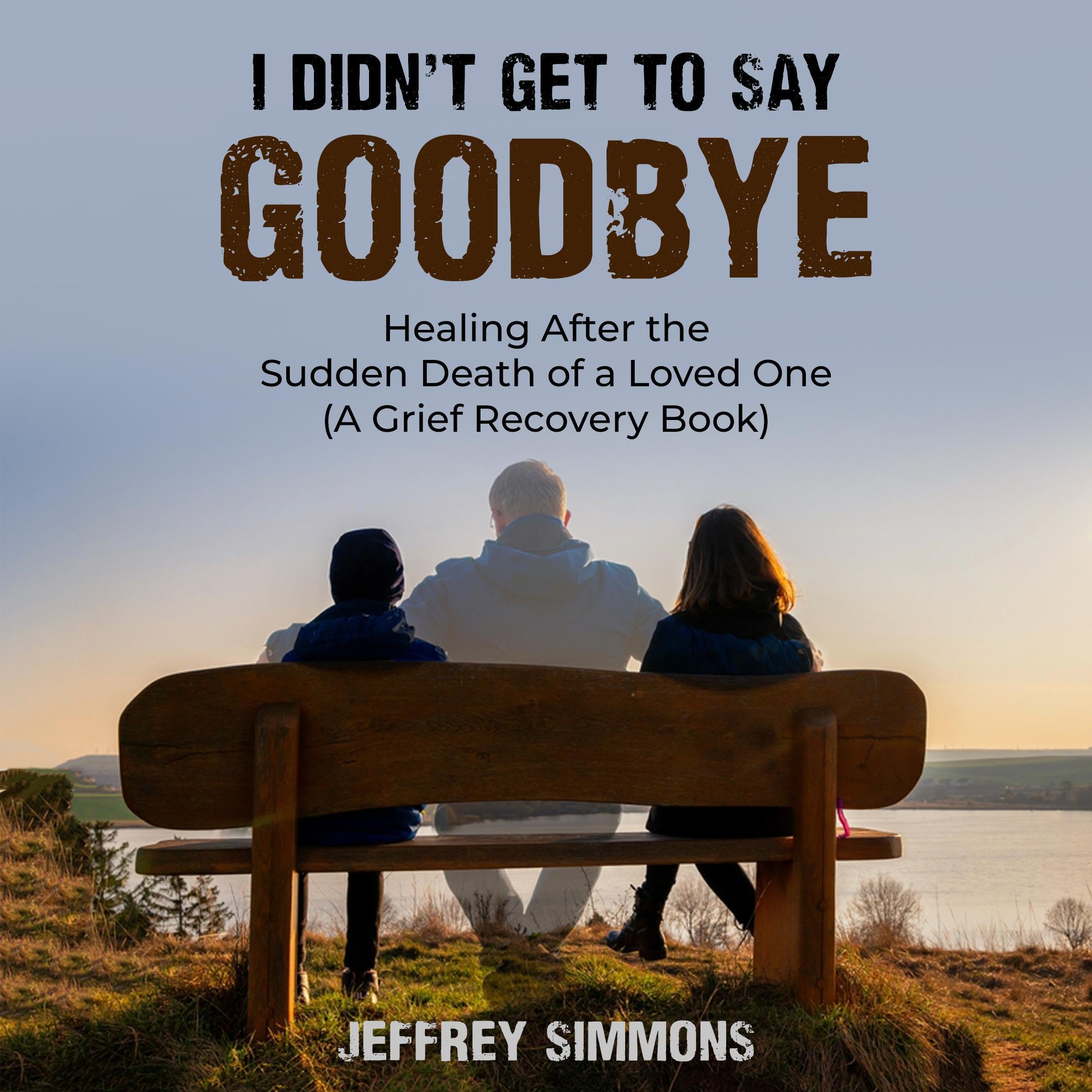 Cover art for I Didn’t Get to Say Goodbye