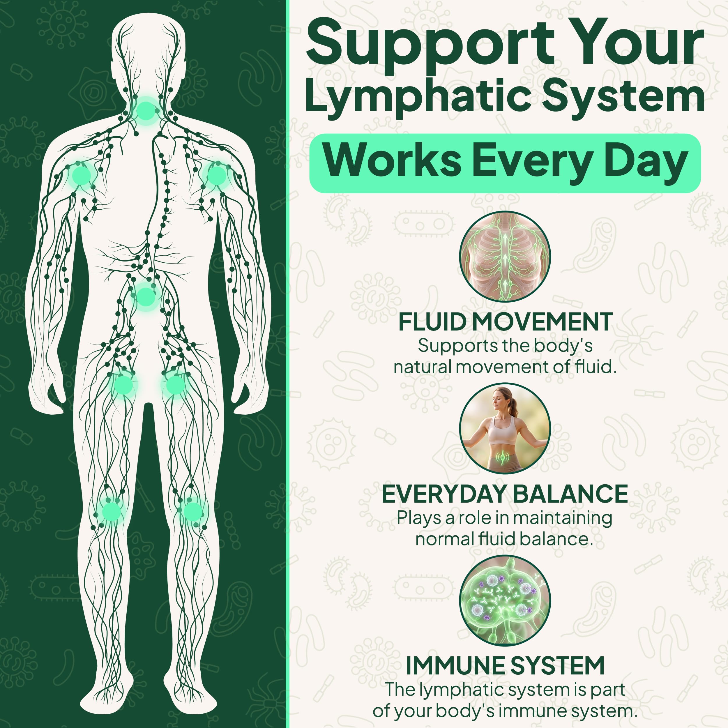 Lymphatic Drainage Drops – Lymphatic Support Supplement with Cleavers, Red Root, Burdock & Dandelion – Herbal Lymph System Cleanse, Detox & Immune Support – Liquid Drainage Tincture, 2 Fl Oz (59 mL) — Amazon image 8