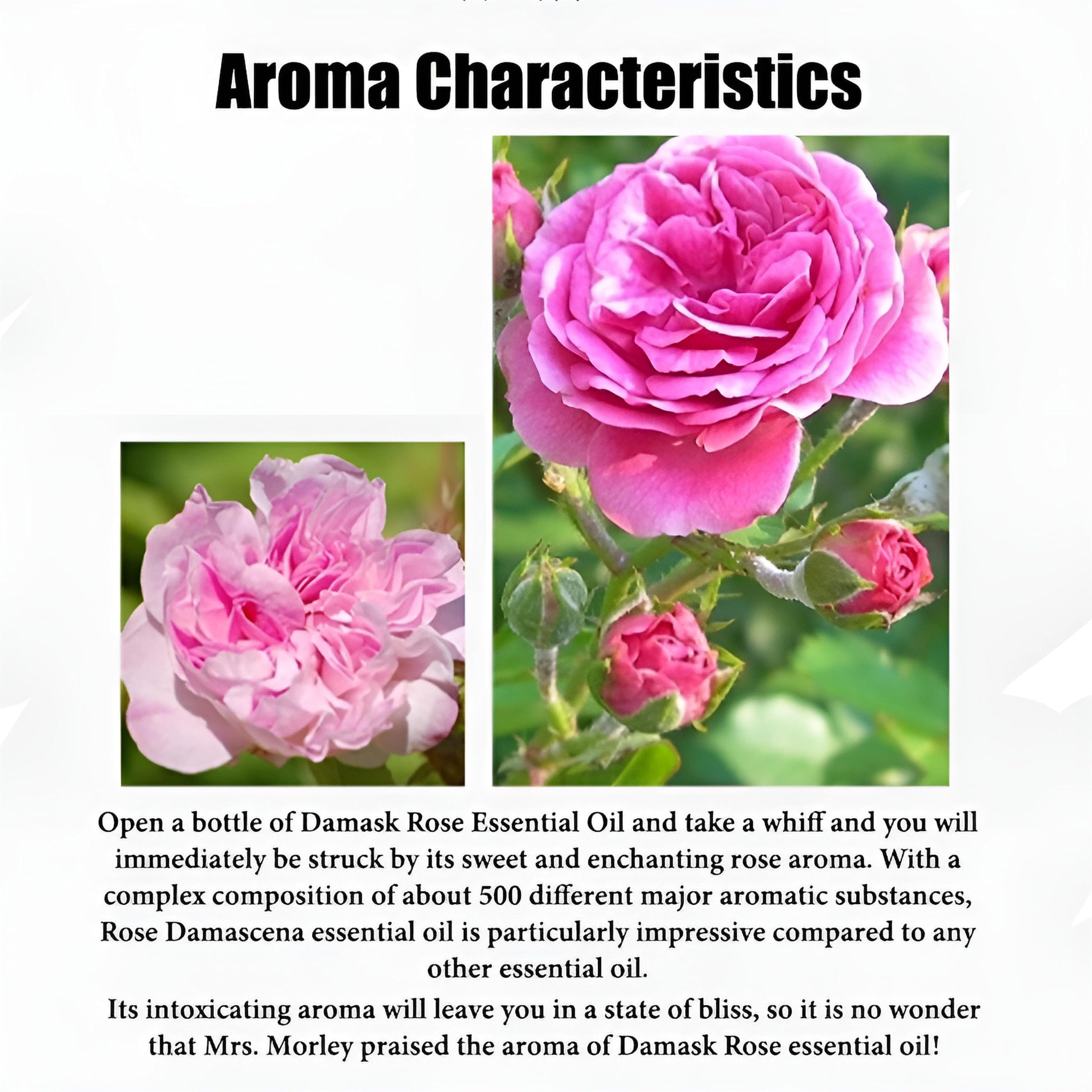 Aceite Esencial de Rosa 100% Puro para aromaterapia, difusores, Cuidado de la Piel y el Cabello, fabricación de Velas y jabón, Aceite de Rosa orgánico de Primera Calidad(500ml)