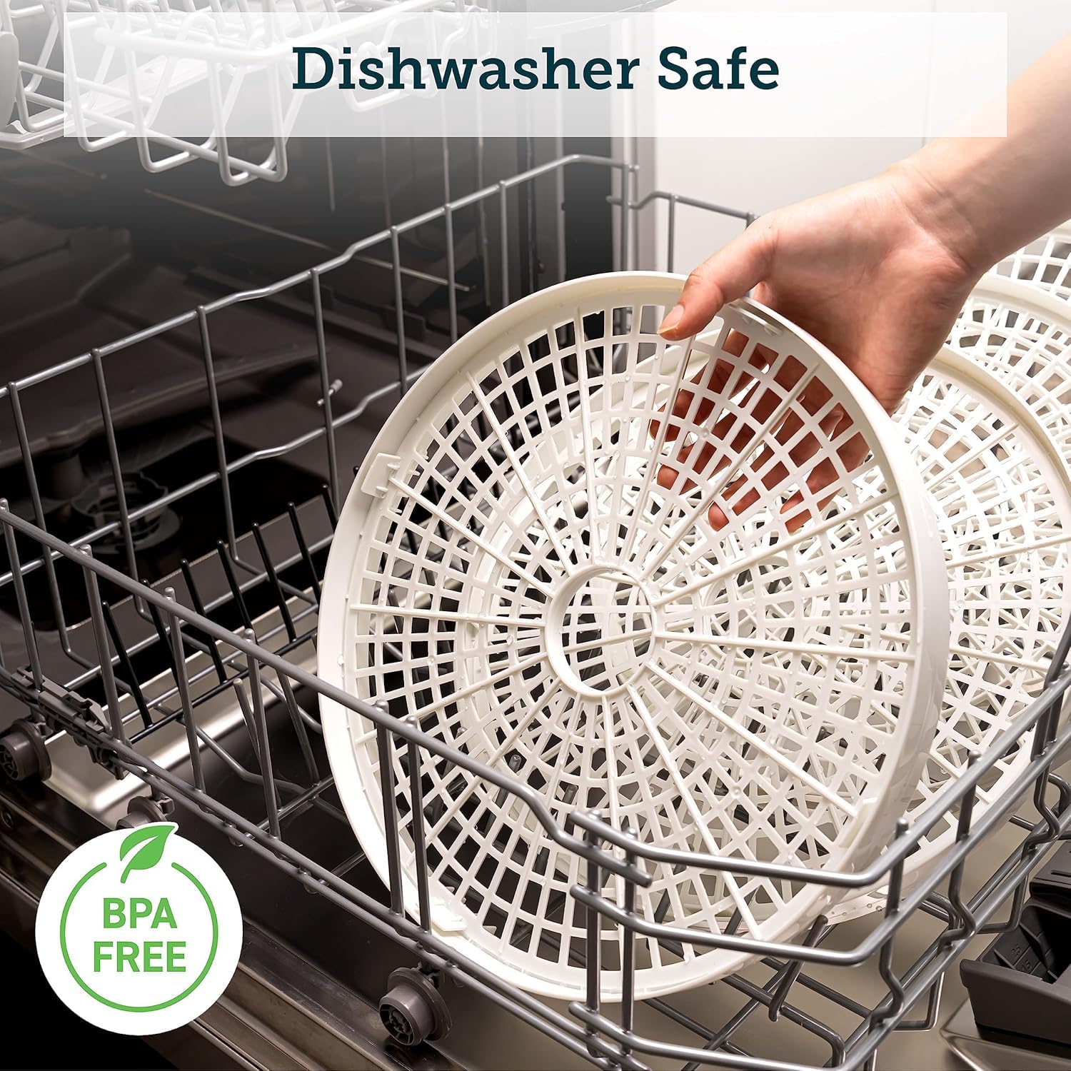 COSORI Deshidratador de Alimentos, 5 Bandejas sin BPA, 165°F Control de Temperatura, Temporizador 48H, 350W para Frutas, Verduras, Carne y Snacks para Perros, con 50 Recetas