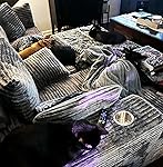 Review Image by Ashley H March Ashley H March