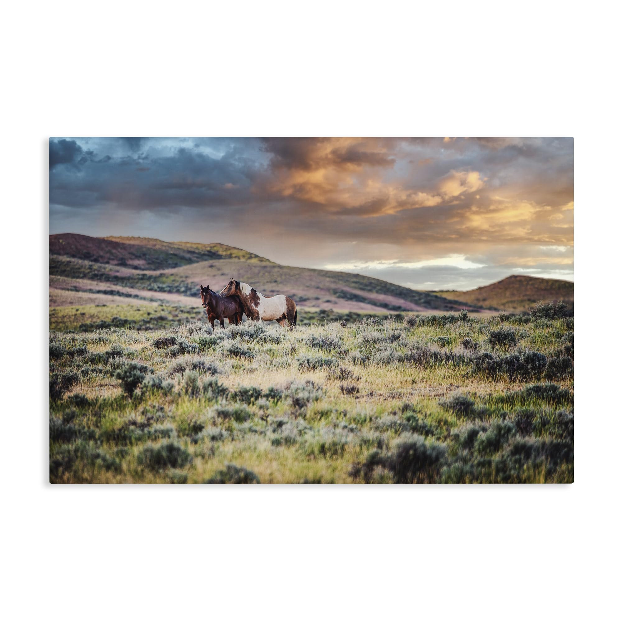 Stupell Industries 'Stay Close Horses', Canvas Art, 30 x 20 Inches, Easy to Hang and Sturdy, Made in USA, by Tim West