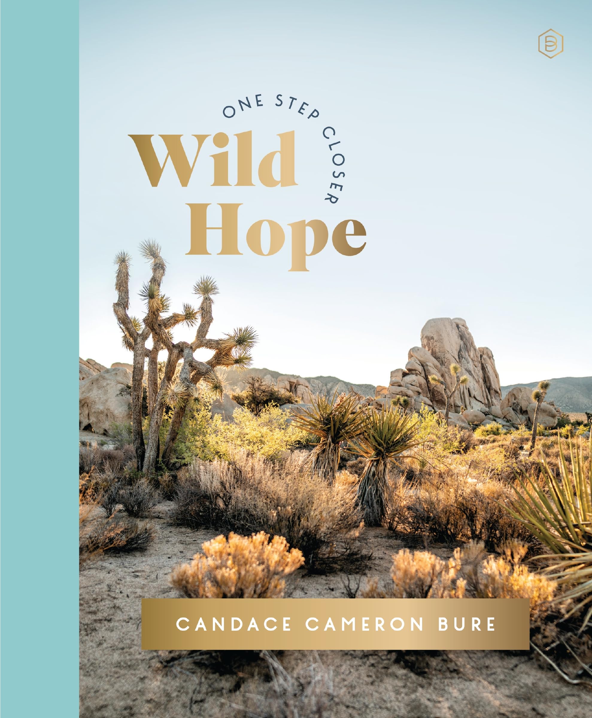 Wild Hope: A 30-Day Devotional to Overcome Life’s Challenges – Interactive Devotions with Bible Verses, Guided Questions, and Creative Exercises (One Step Closer)