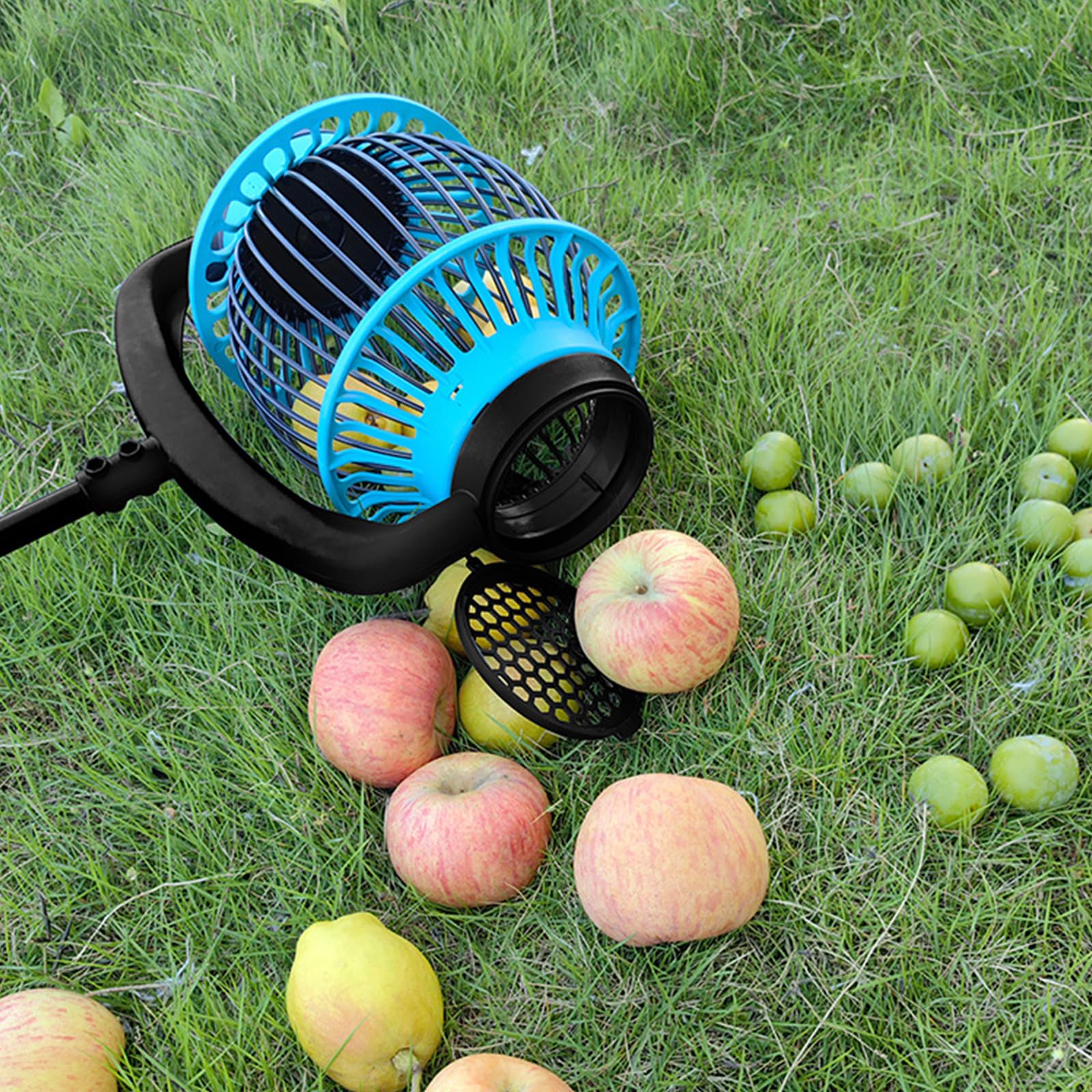 Herramienta telescópica recolectora de frutas a prueba de óxido con cesta de red expandible para nueces, pelotas de golf y cosecha en el patio, recolector de nueces ligero resistente a la corrosión