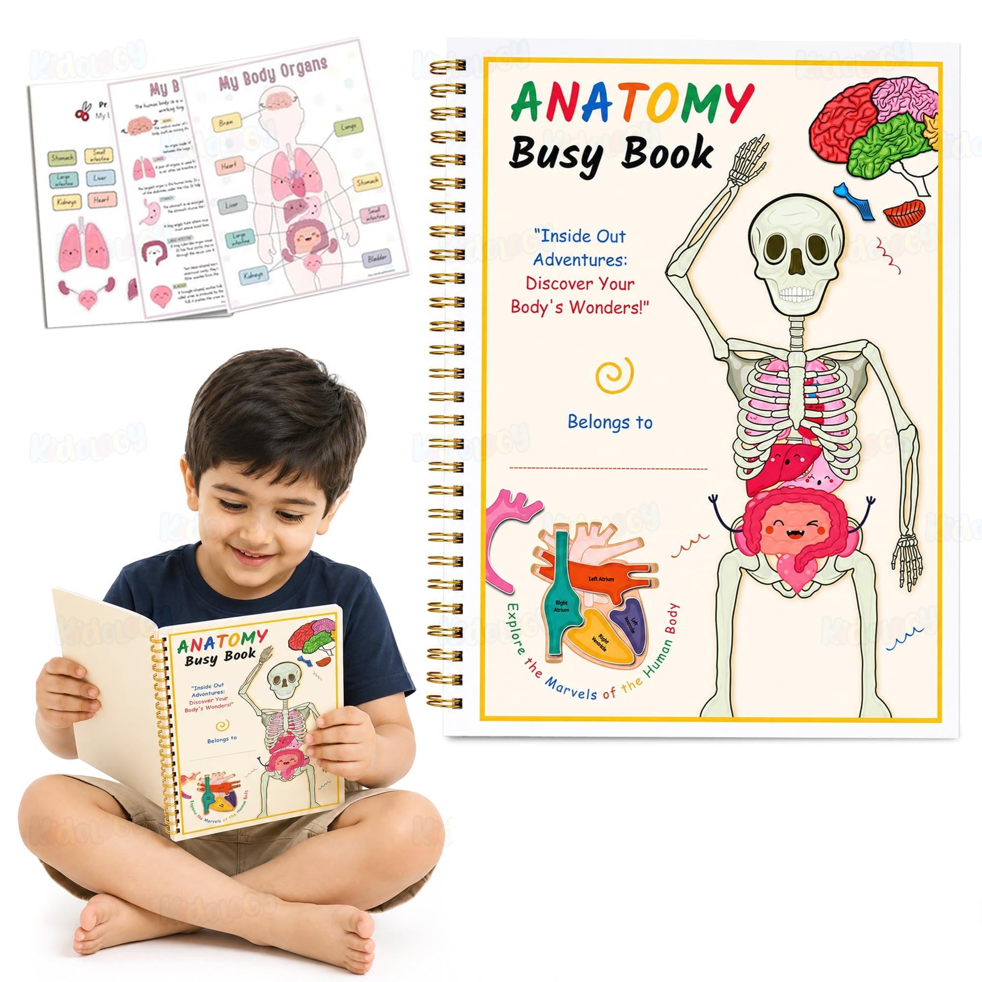 Kidology Multiplication Chart - Dry Erase Times Tables 1-12 -15