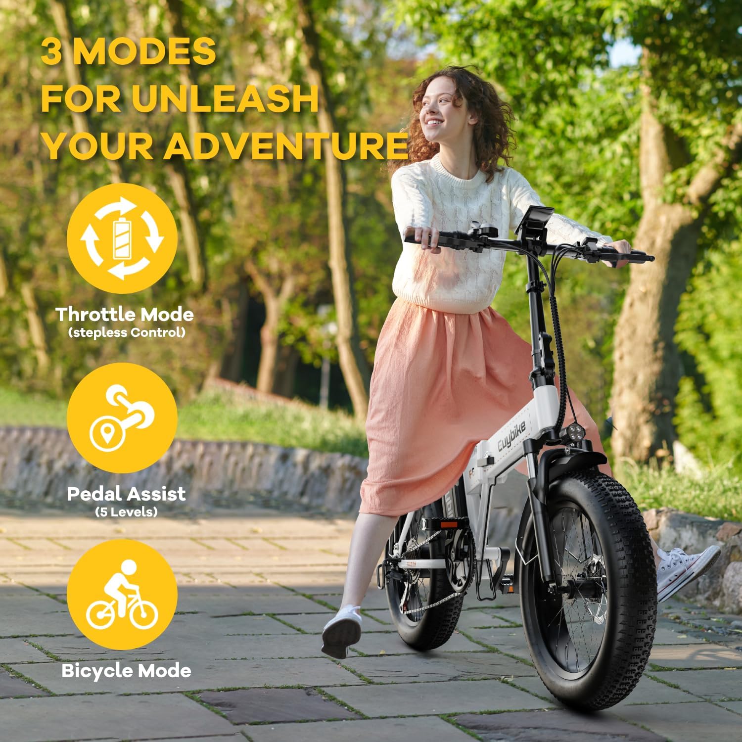 bluebiko 1000W Folding Electric Bike, 48V 20AH Large Removable Battery E Bike, 30+MPH, 80 Miles Max Range, 20" Fat Tire Electric Bike for Adults, Adult Electric Bicycles for Commute Beach Snow