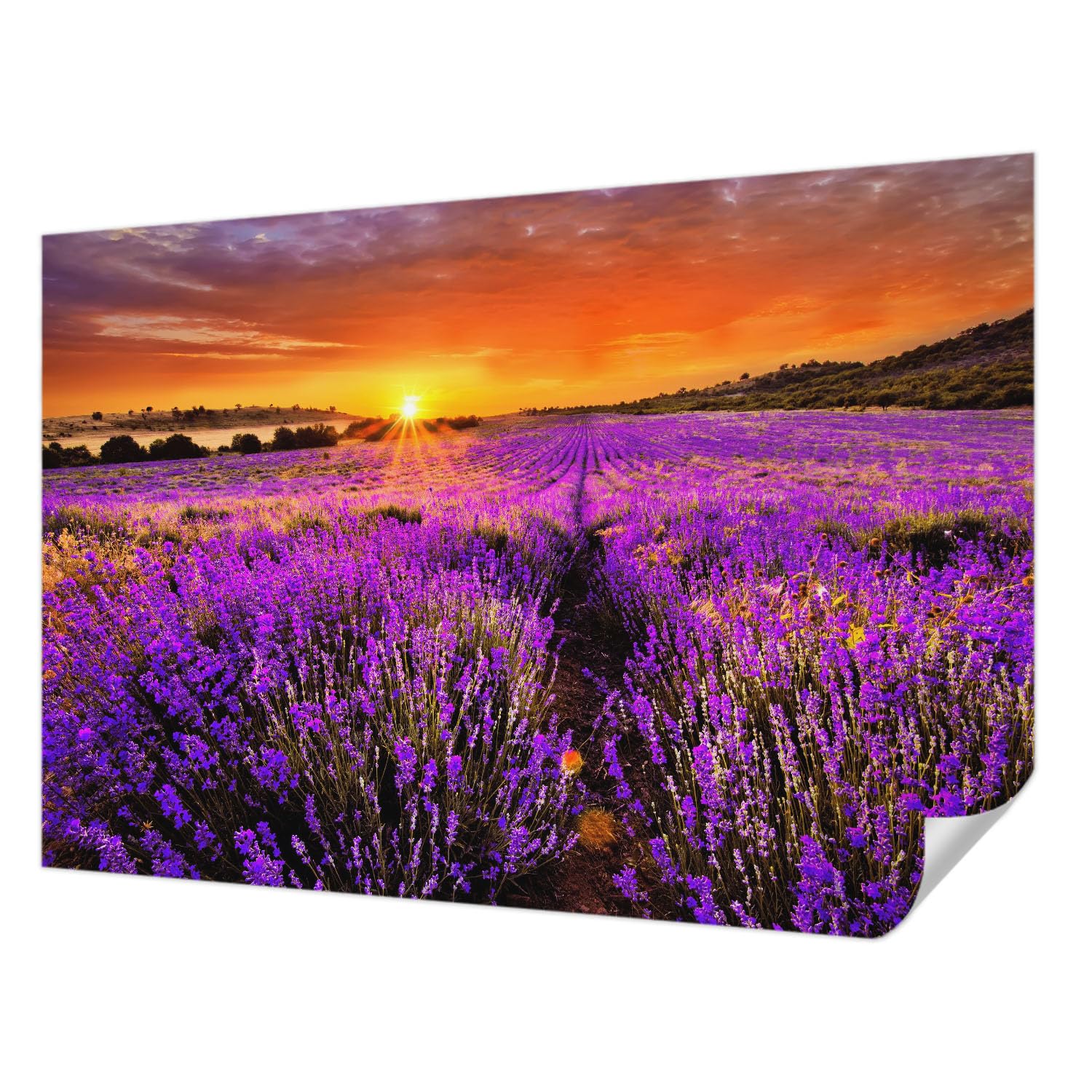 Papier peint adhésif chambre à coucher ambiance coucher de soleil lavande Tulup