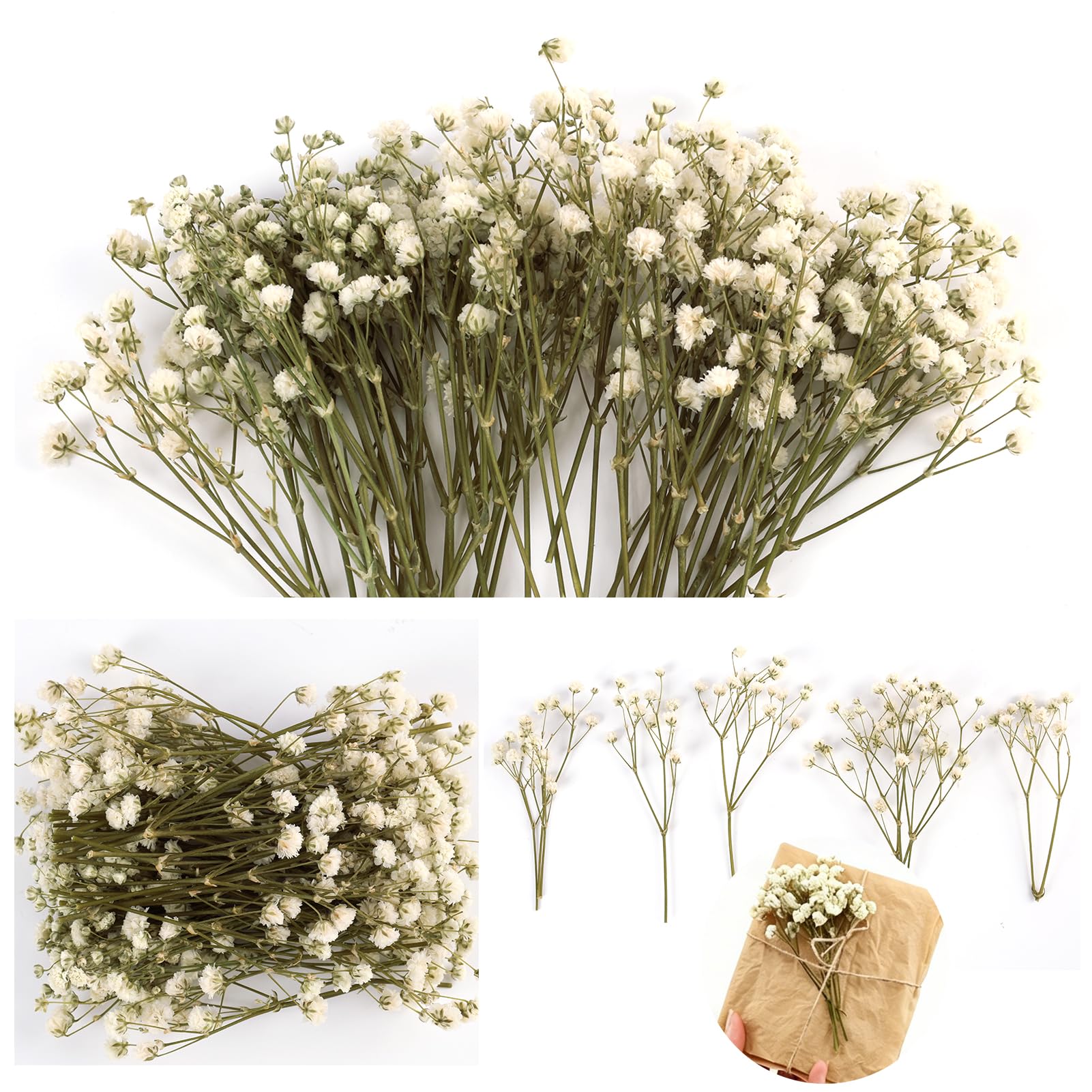 50PCS de Flores Secas Prensadas de Gypsophila Blanca Natural, Flores secas Naturales, Mini Aliento de Bebé pour Decoración de Joyería, Manualidades, Resina, Tarjetas de Bodas, Elegancia Duradera