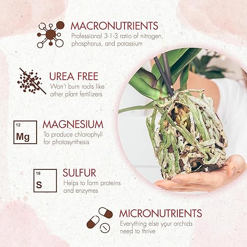 Miniatura 3 de Alimento para plantas de orquídeas (5 onzas, más de 50 aplicaciones)  Pellets de fertilizante para orquídeas en macetas  Nutrientes de liberación