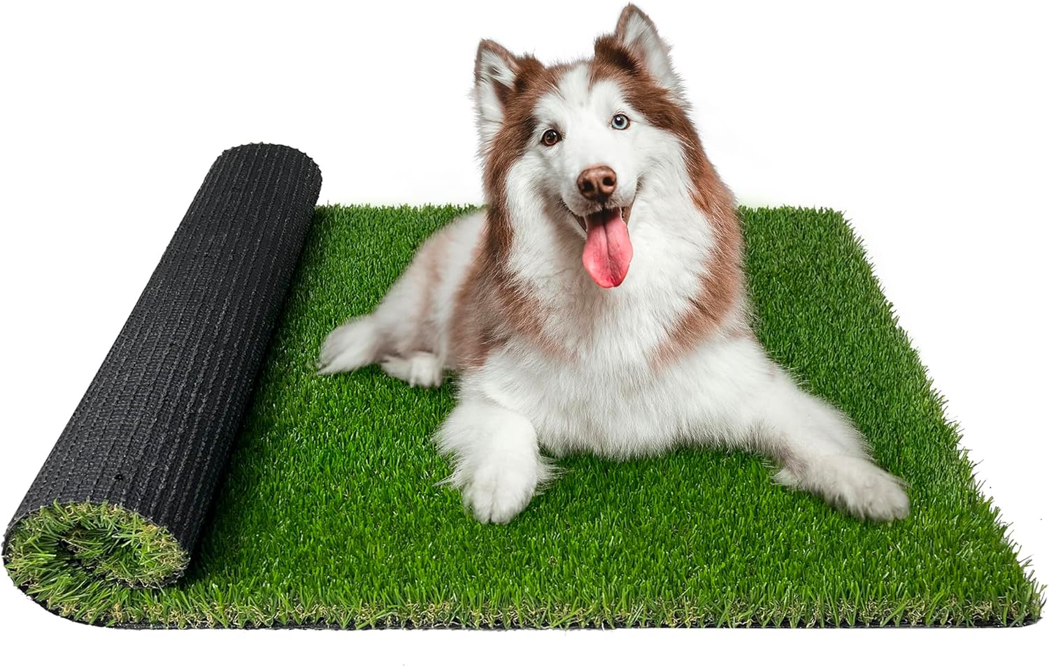 Artificial Dog Grass Pee Pads 39.3" x 61.4" Fake Turf Potty Puppy Training with Drainage Holes Indoor Replacement Decoration Rug Outdoor Pet Mat 39.3×61.4inch