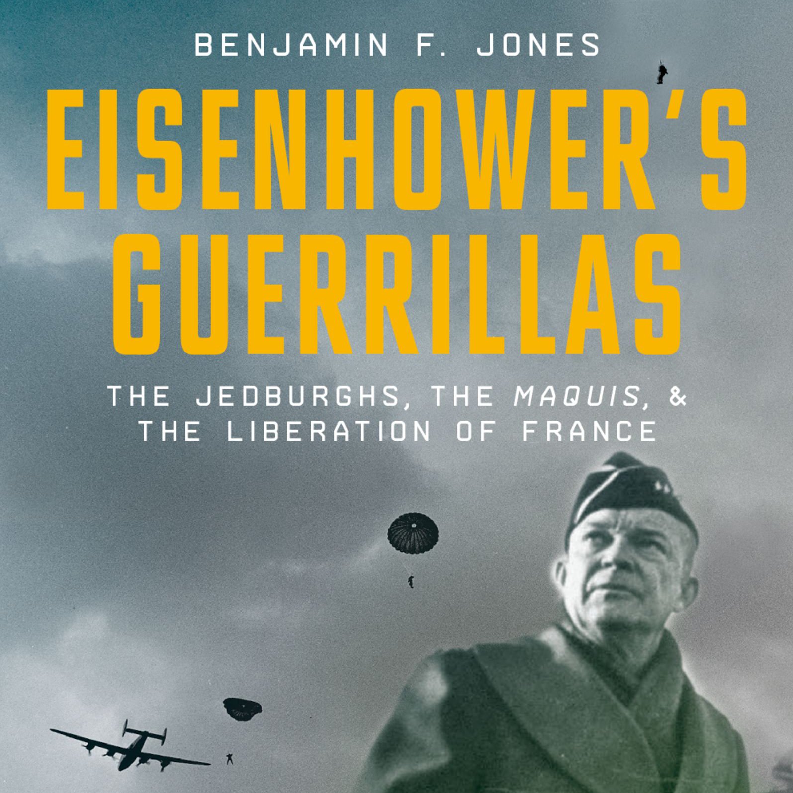 Eisenhower's Guerillas