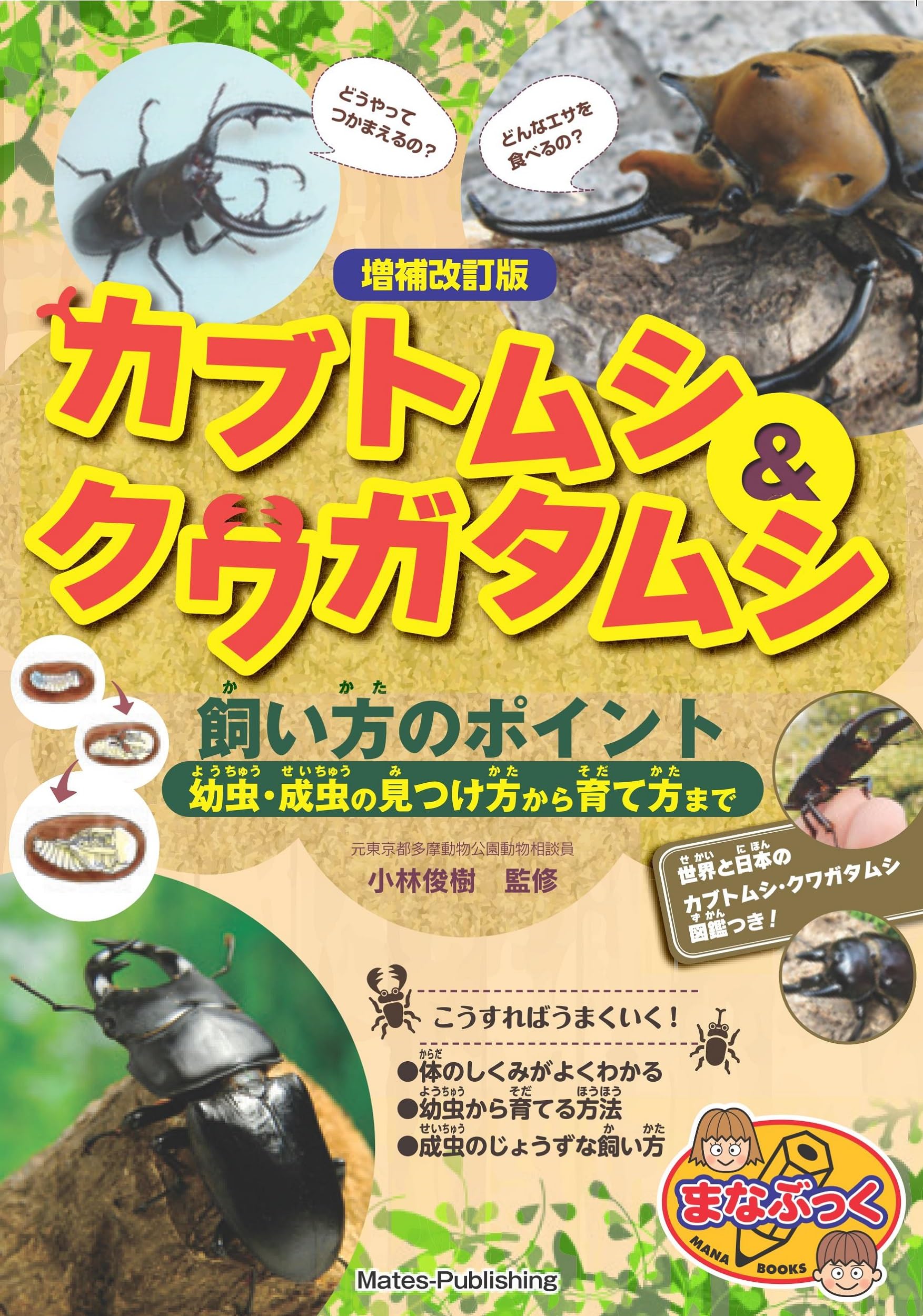Amazon.co.jp: カブトムシ&クワガタムシ 飼い方のポイント 増補改訂版 Amazon.co.jp: カブトムシ&クワガタムシ 飼い方のポイント 増補改訂版