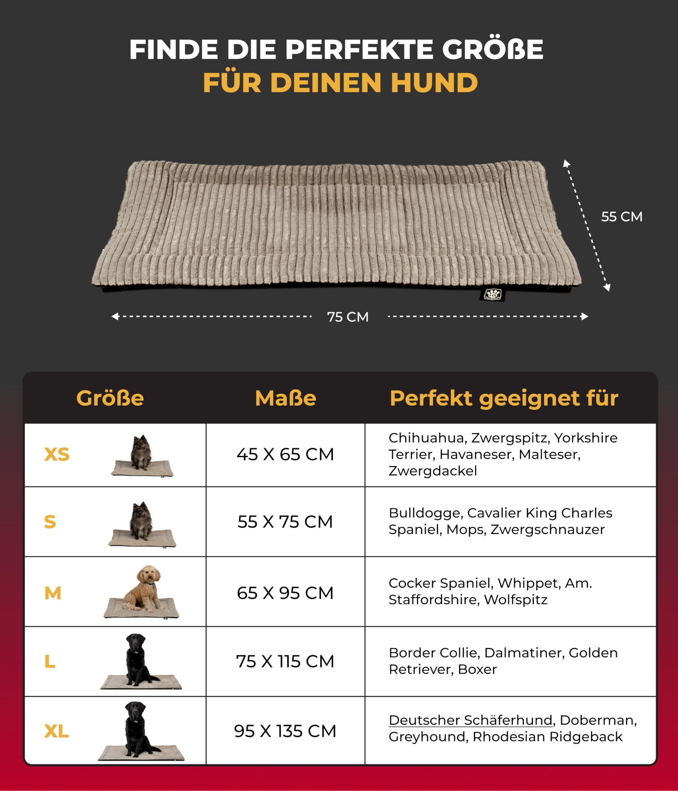 Hundedecke Cord mit Füllung S (55x75 cm) – Anti-Rutsch-Funktion – Kuscheldecke für Hunde – Gemütlicher Ruheplatz - Beige, Made in DE