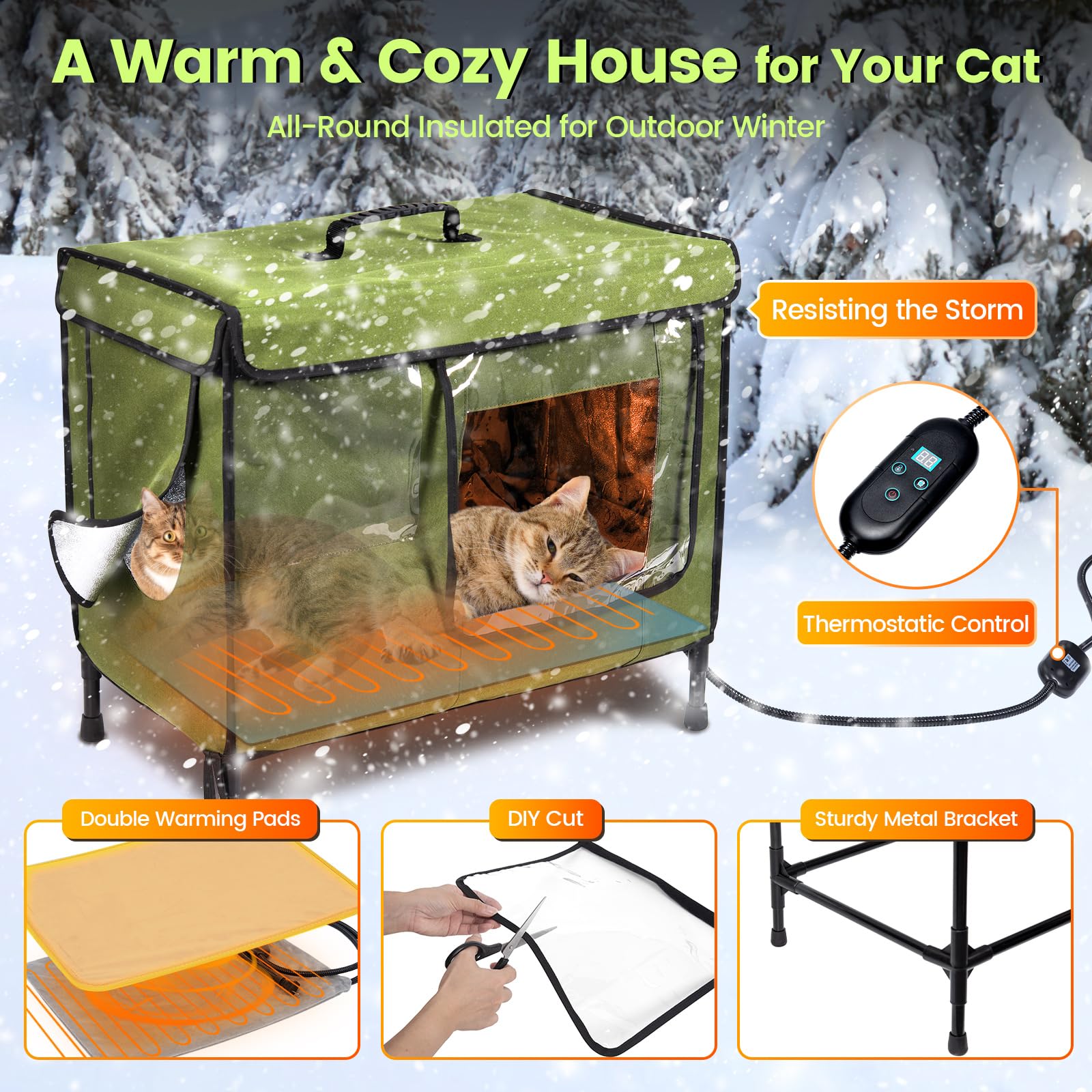 https://m.media-amazon.com/images/I/81V8BRquEwL.jpg