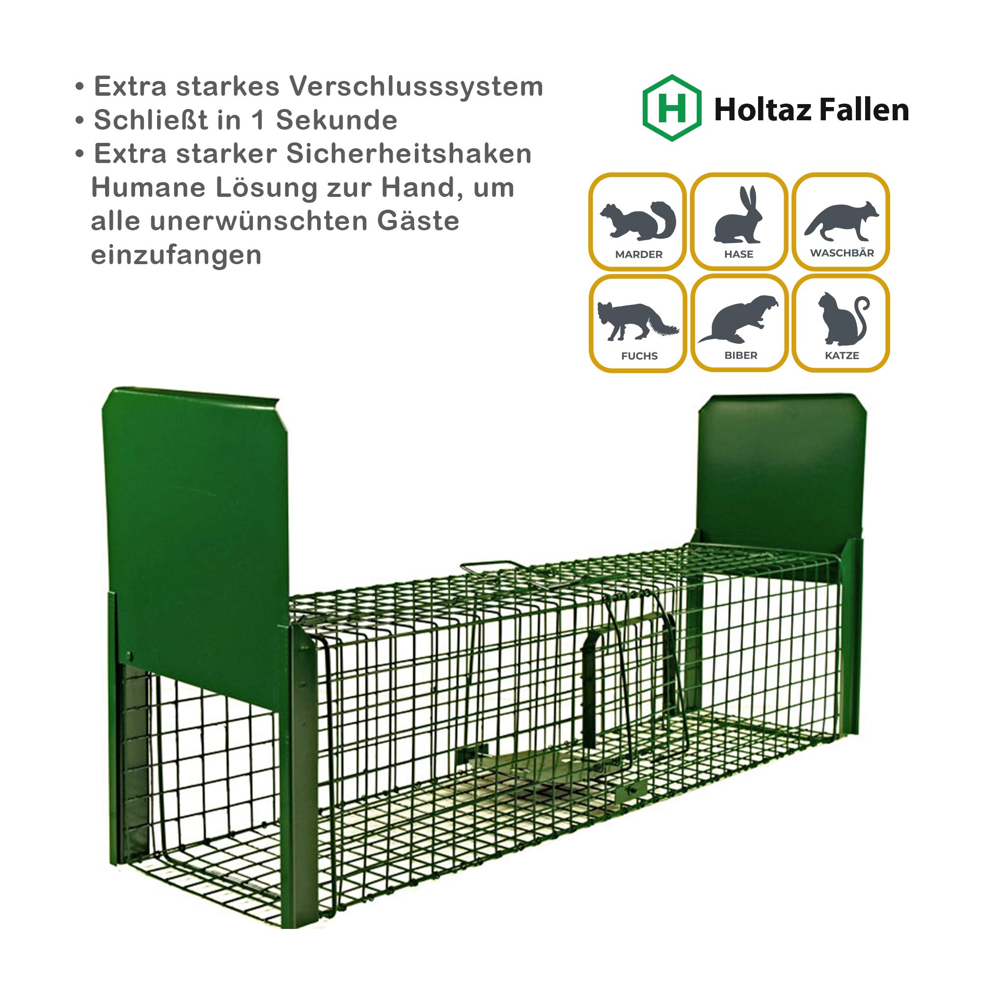 hundefutter mit reis Mini Lamm & Reis Trockenfutter | mera
