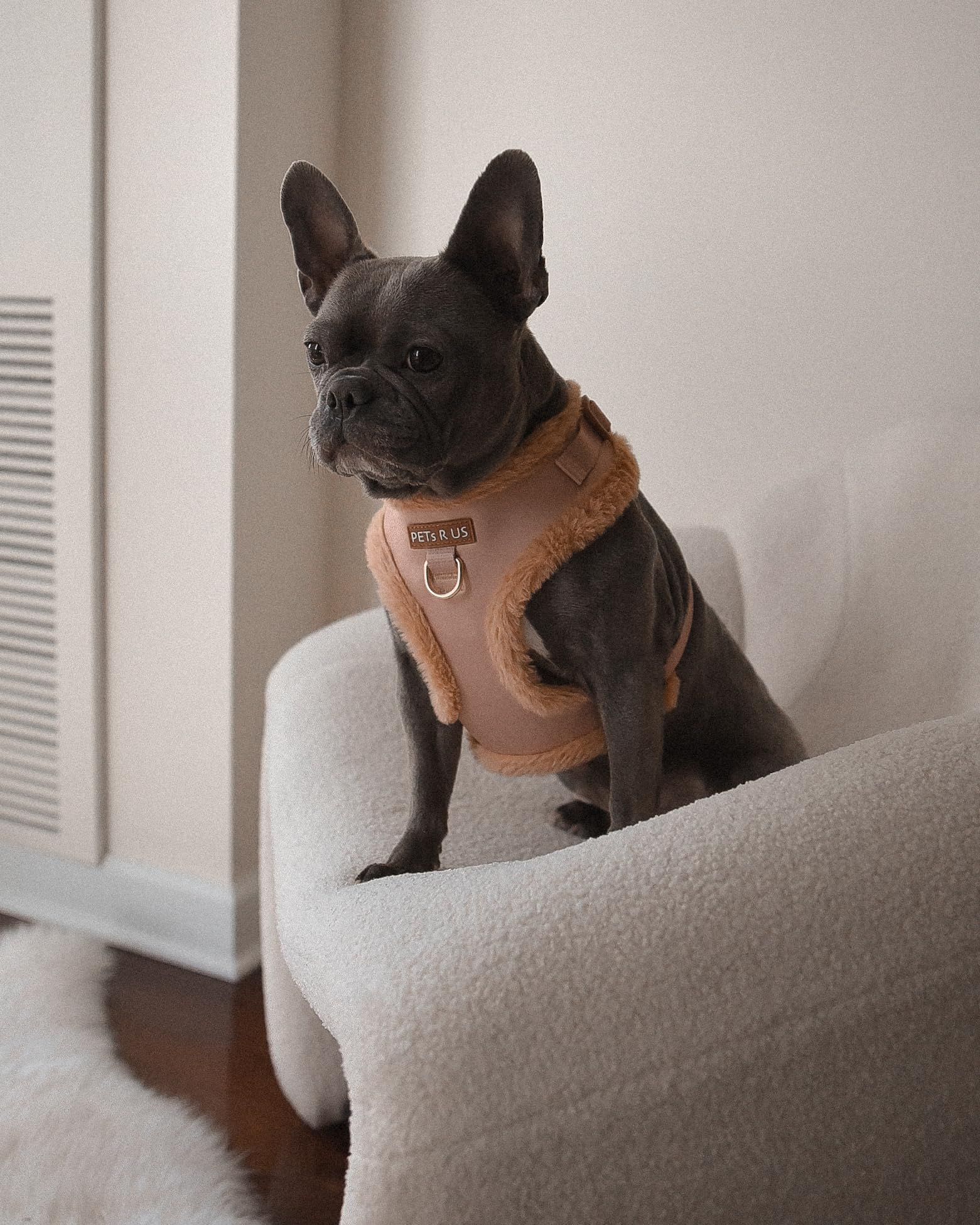 Harnais anti-traction pour chien en néoprène marron ivoire taupe design en cuir serpent réglable sport petit, moyen et grand animaux de compagnie respirant léger (bordure en fourrure beige, L : cou =