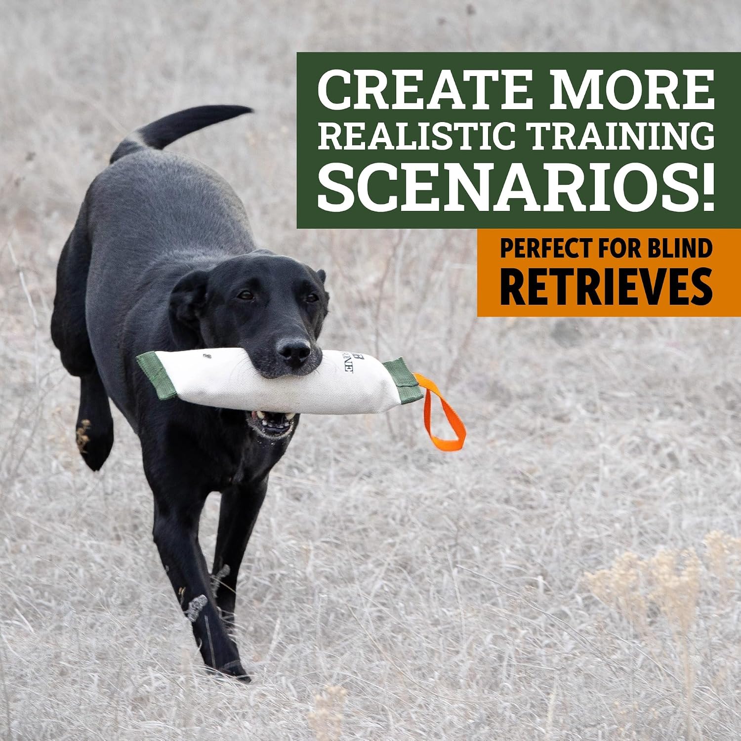 Dog Training Scent for Hunting Dogs - Great Nosework for a Duck or Bird Dog image 5