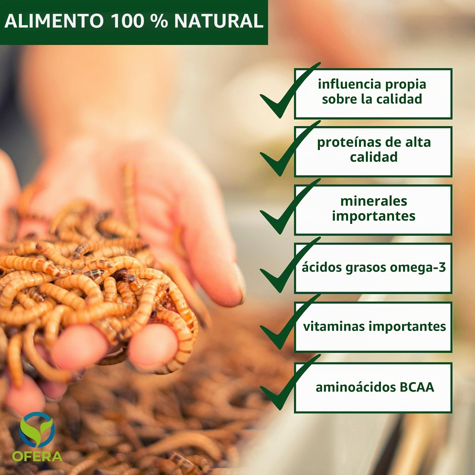 Mealworm Farm - Gusano de harina