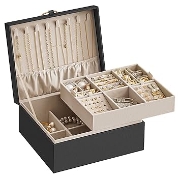 Amazon.com: SONGMICS 2-Layer Jewelry Box, Jewelry Organizer