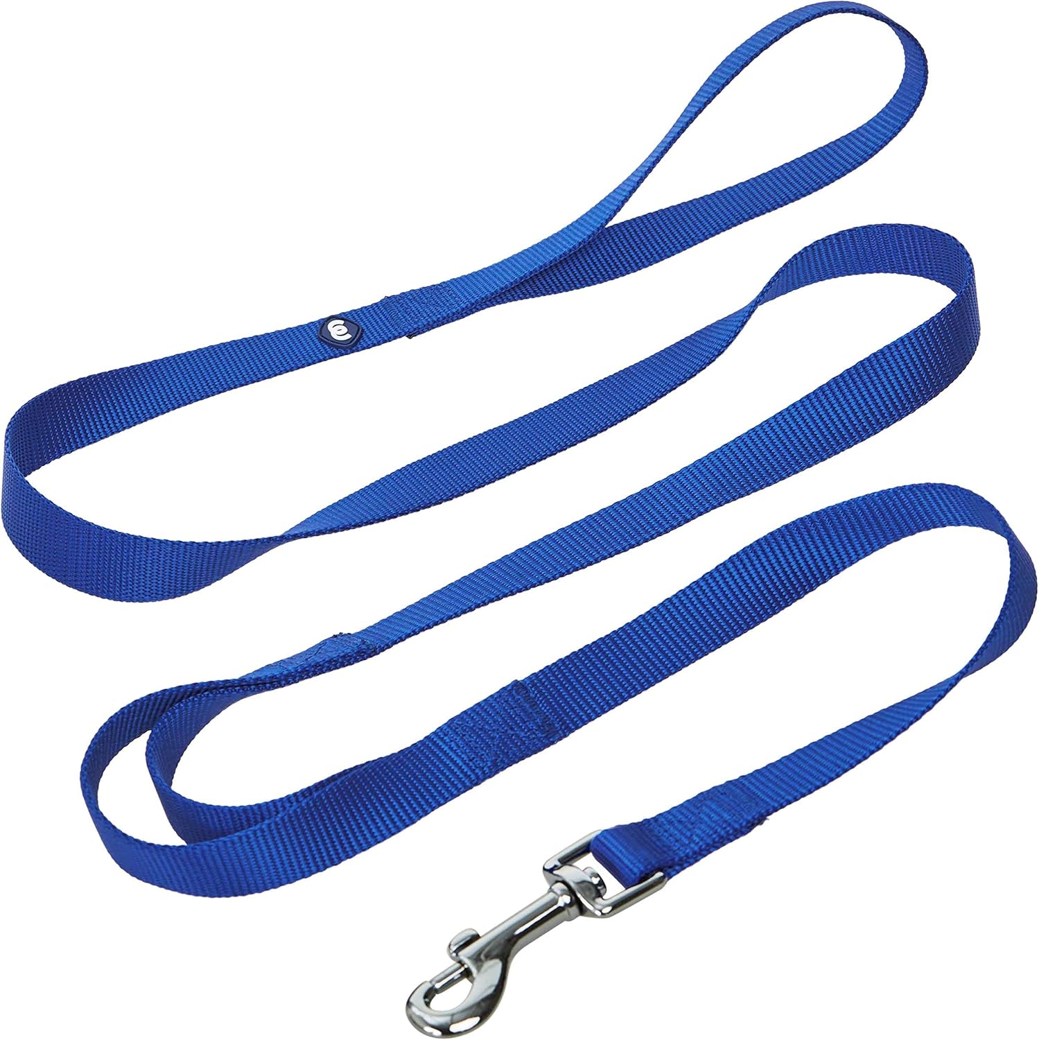 Blueberry Pet Essentials Durable Classic Dog Leash 5 ft x