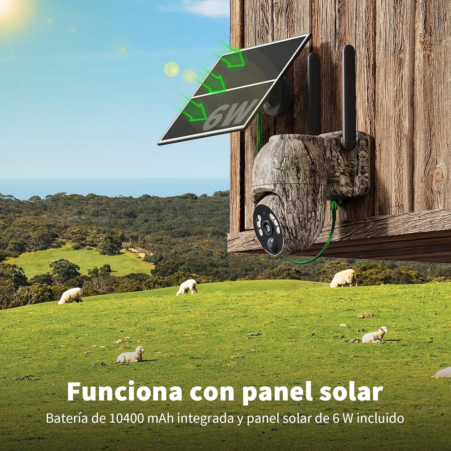 A NUASI camera with its solar panel mounted on a wooden structure in a grassy field with sheep, illustrating solar charging.