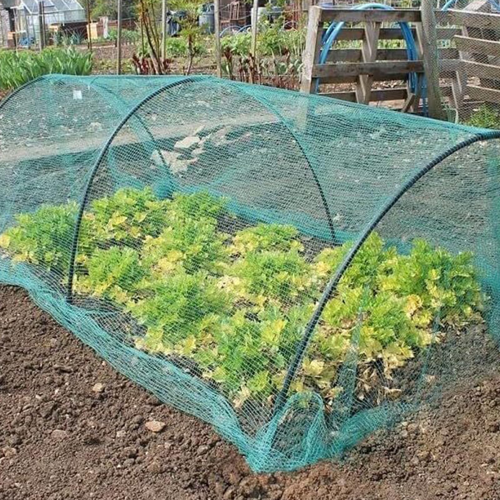 Red antipájaros de jardín Barrera de malla para cubrir plantas | Malla Mosquitera Para Mariposas Y Aves Protege estanque de hojas, verduras, árboles frutales, gallinero, de fresas