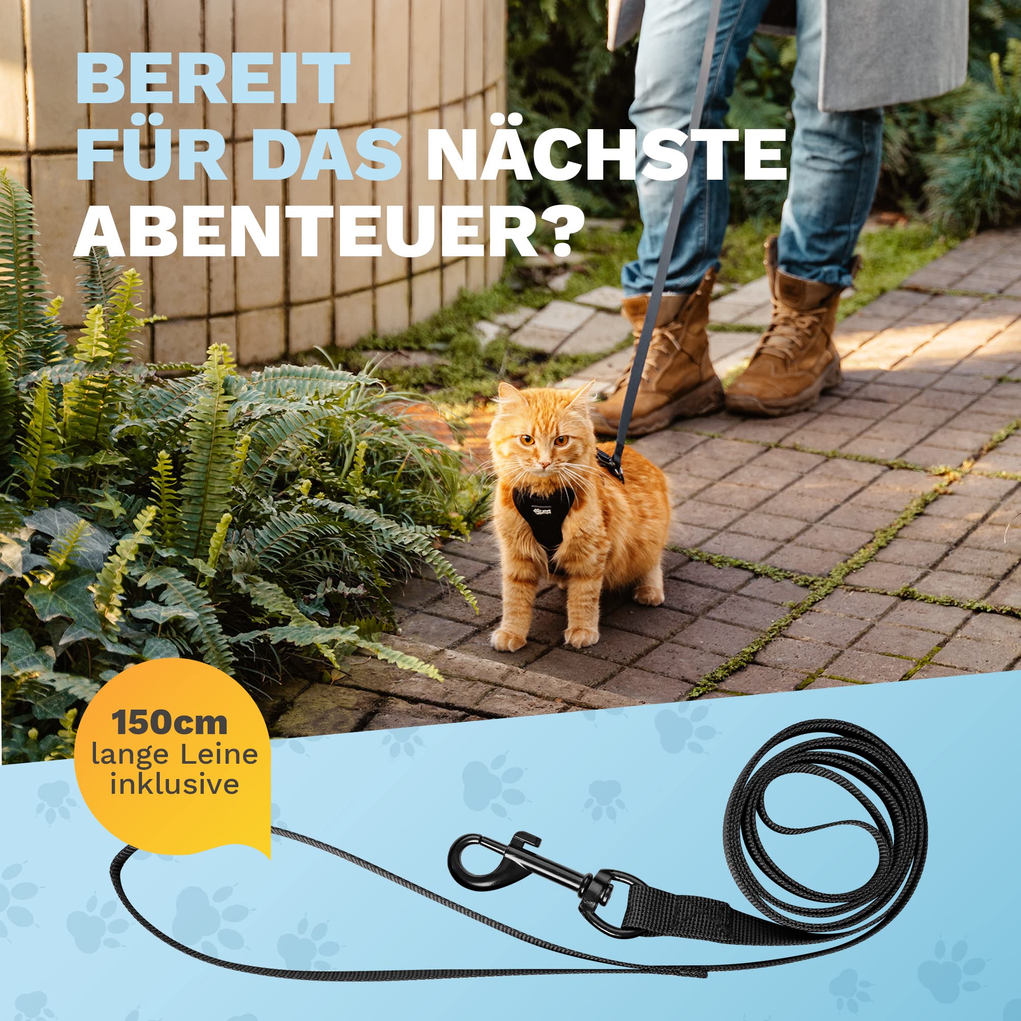 Arnés para gatos – Arnés resistente con correa para paseos seguros (XS, Negro, Rayas)