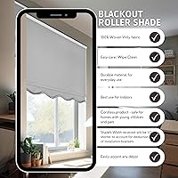 Vista 9 de CHICOLOGY Persianas enrollables opacas personalizables, sin cordón, para el hogar, tratamientos de ventana, persianas de puerta, persianas opacas