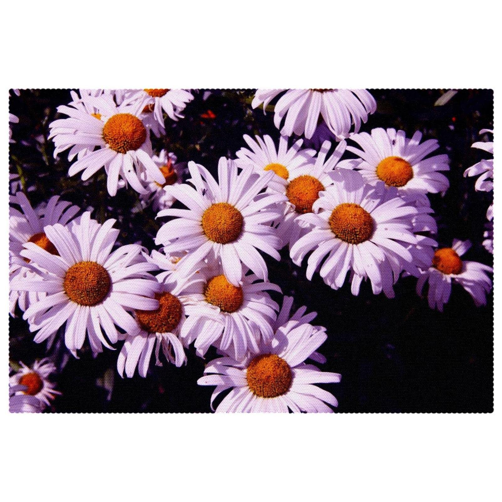 Sets de table marguerites rectangulaires antidérapants 30,5x45,7 cm Splendid