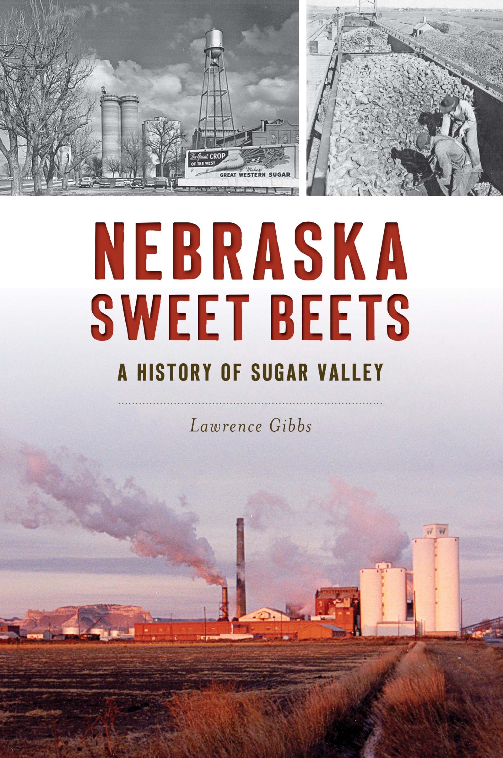 Buy Nebraska Sweet Beets: A History of Sugar Valley — BookShops.in