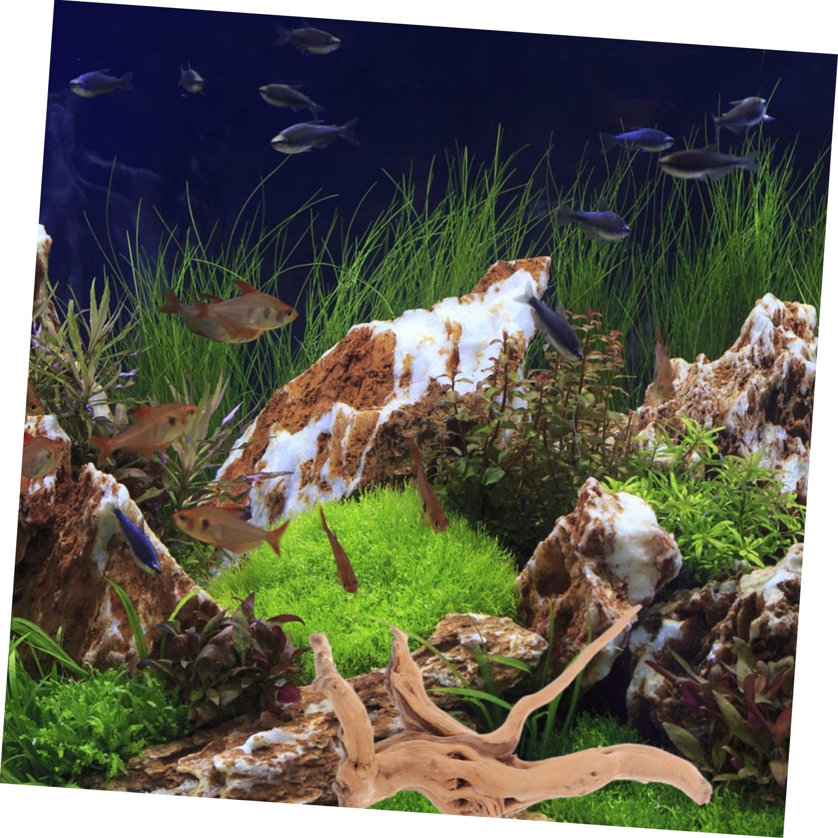 Luxshiny 3 Piezas Madera Flotante para Acuario Forma Realista, Fácil de Usar, Adorno Natural para Tanque de Reptiles y Mesa Varios Estilos