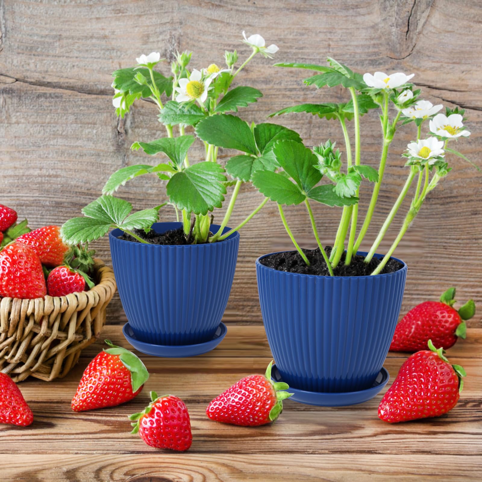 Amazon.com: MUXINCAMP 7 Inch Large Plant Pots, 6 Pack Flower Pots