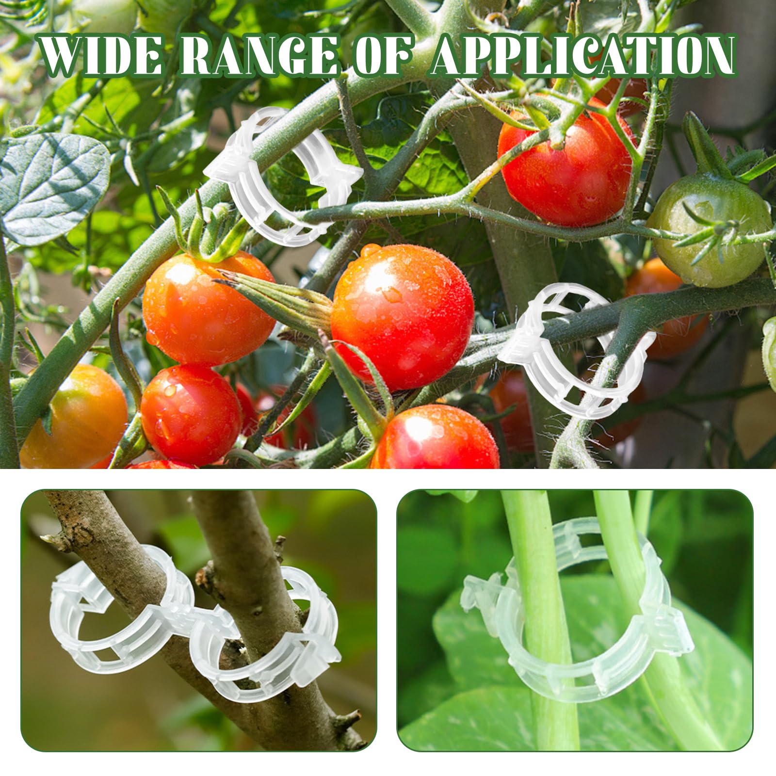 300 clip per piante di pomodoro, clip di supporto per piante da giardino, clip di supporto per piante di pomodoro | Leroy Merlin