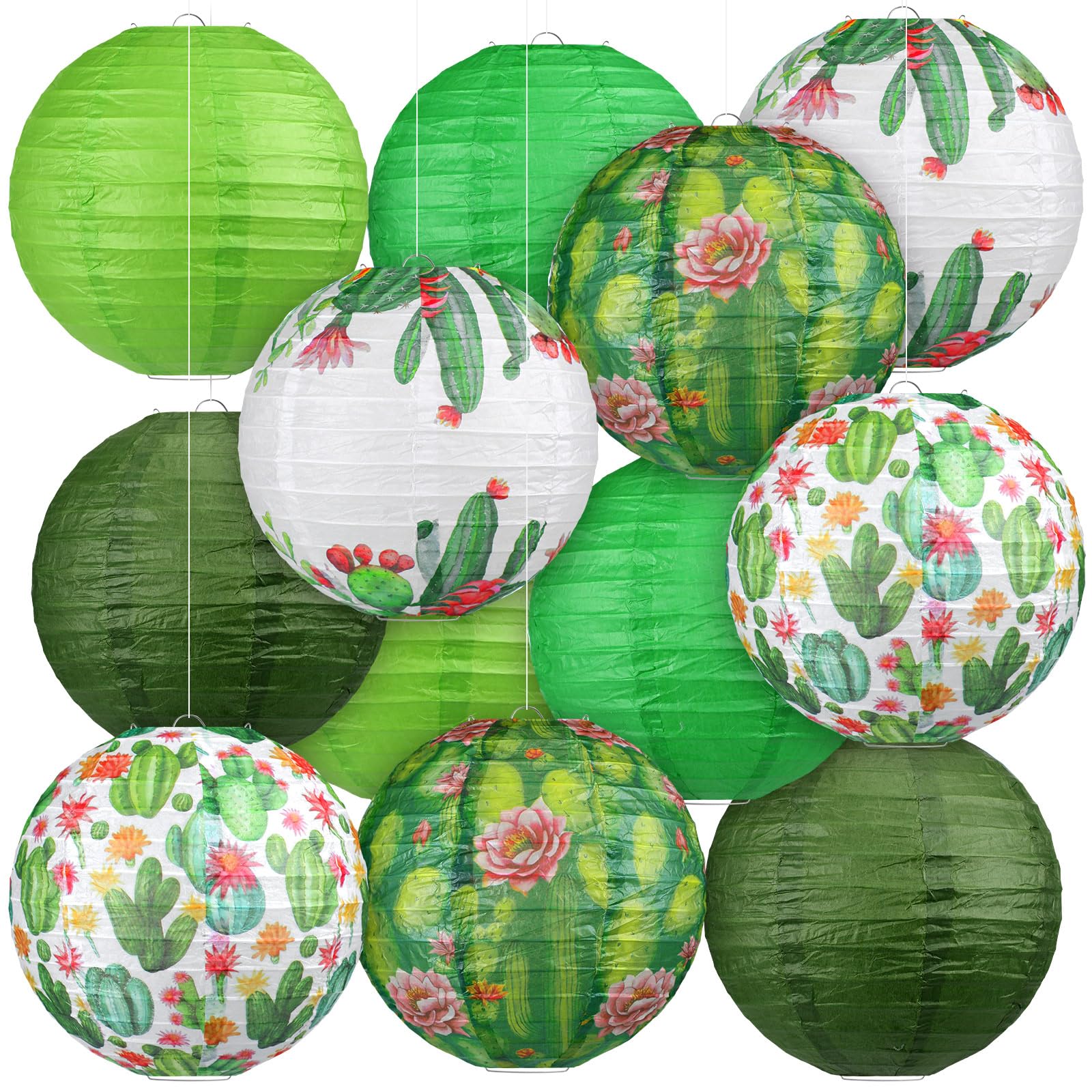 Panelee 12 Pcs Summer Cactus Party Decorations Mexican Themed Party Decor