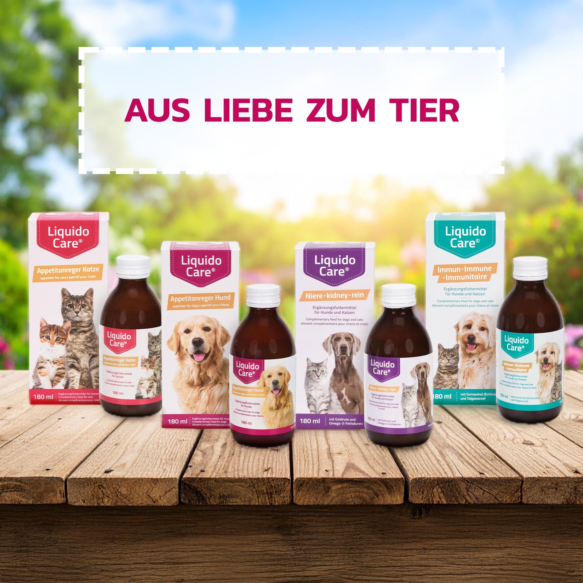 Liquidocare Appetitanreger Hund 180 ml – Hochkalorisches Tonikum mit Vitaminen & Mineralstoffen – für schlecht fressende, untergewichtige Hunde – schmackhaftes Ergänzungsfuttermittel